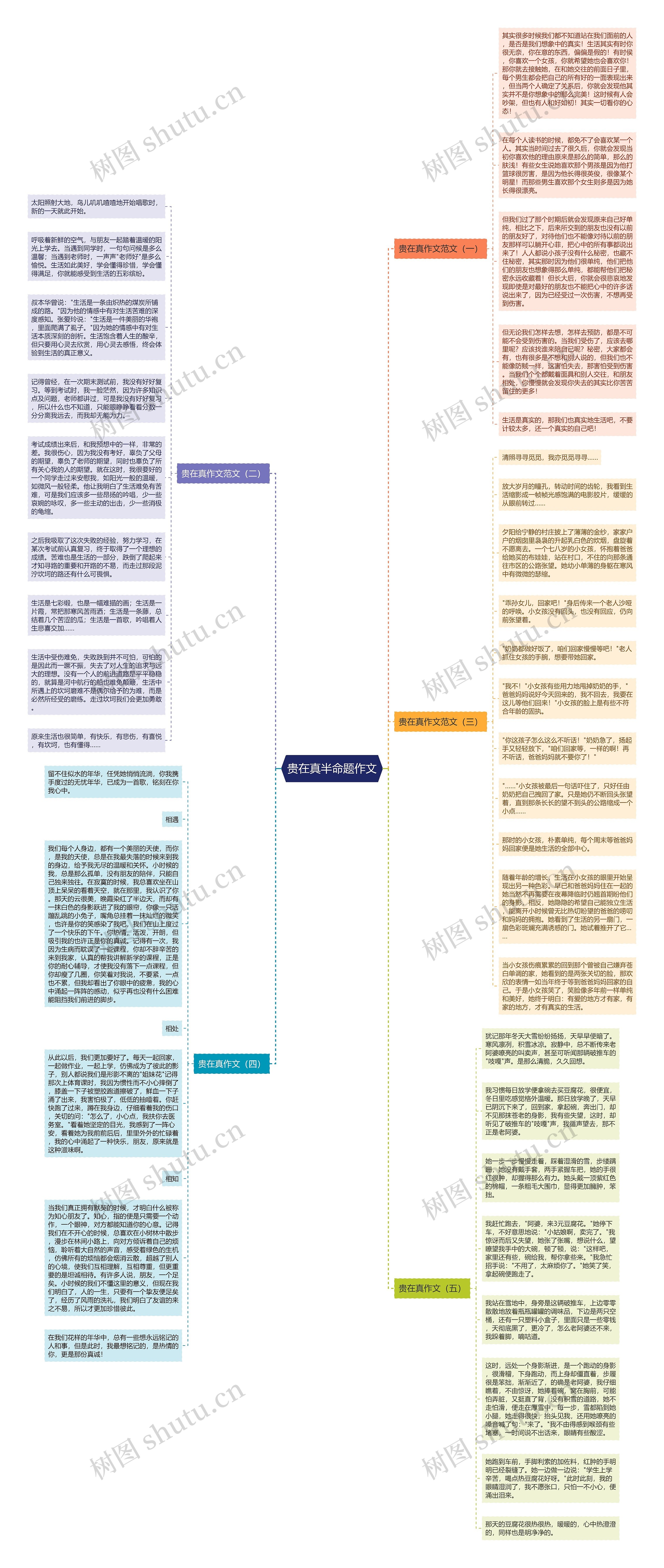 贵在真半命题作文思维导图