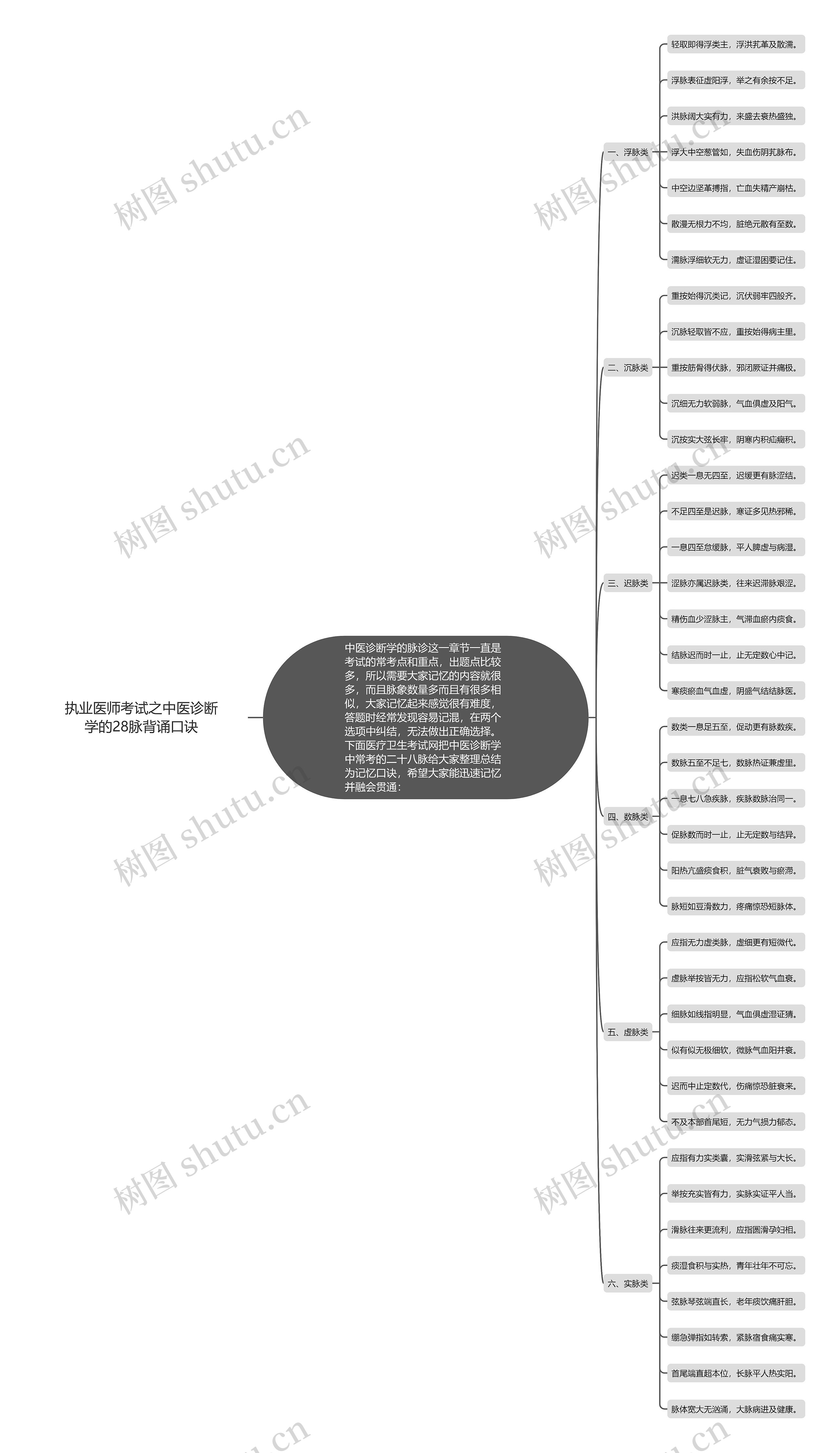 执业医师考试之中医诊断学的28脉背诵口诀思维导图