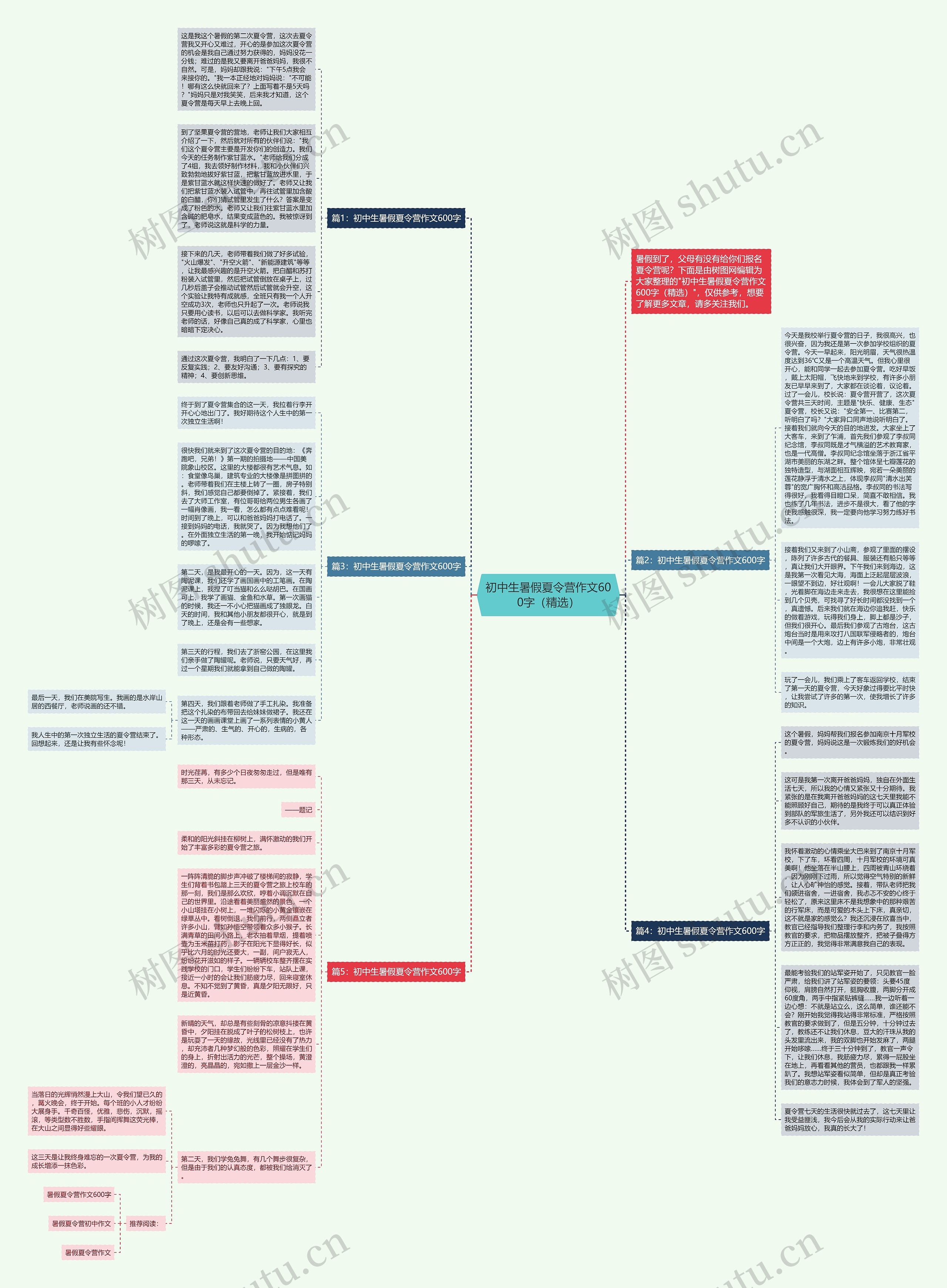 初中生暑假夏令营作文600字（精选）思维导图