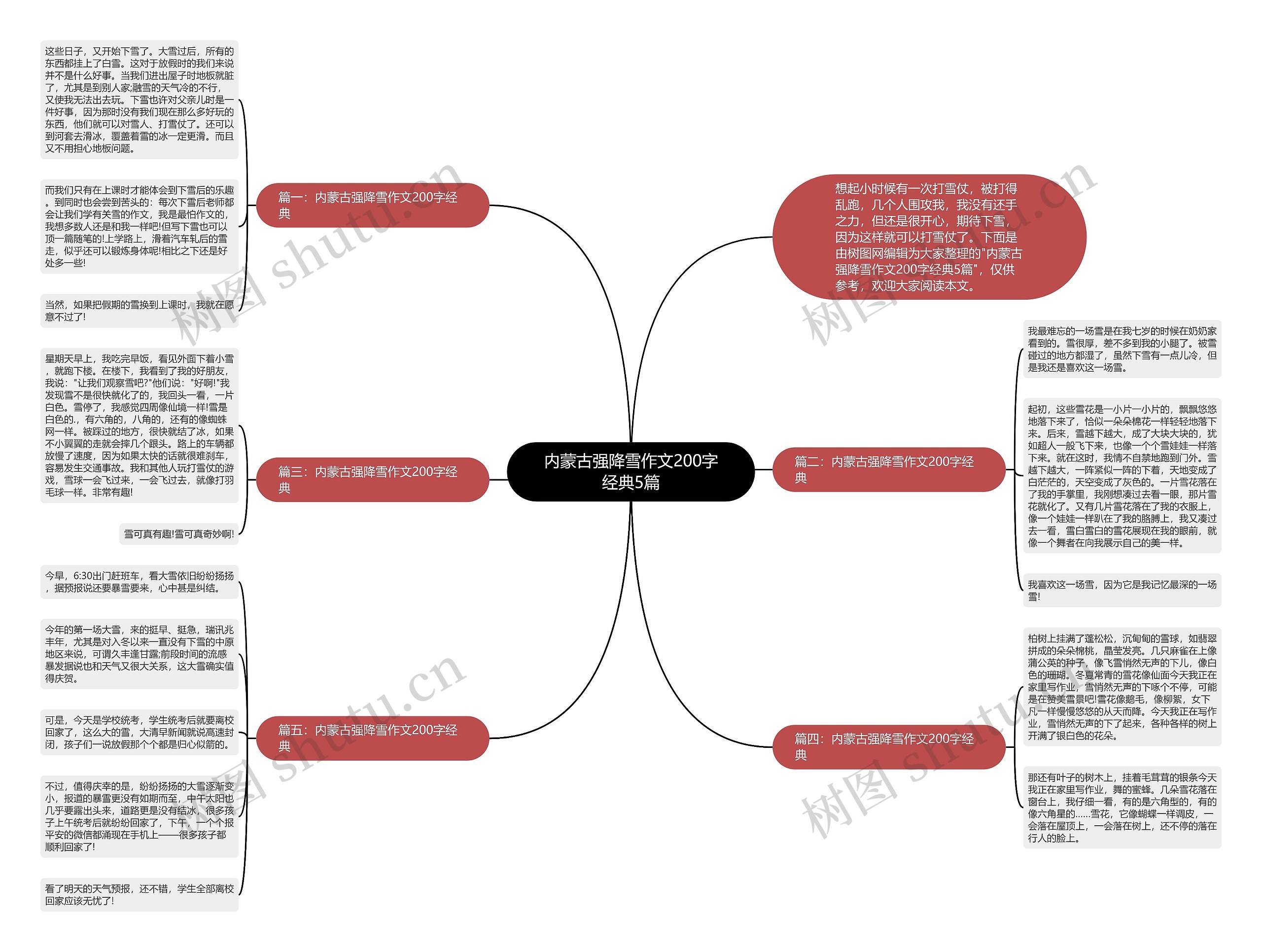 内蒙古强降雪作文200字经典5篇思维导图