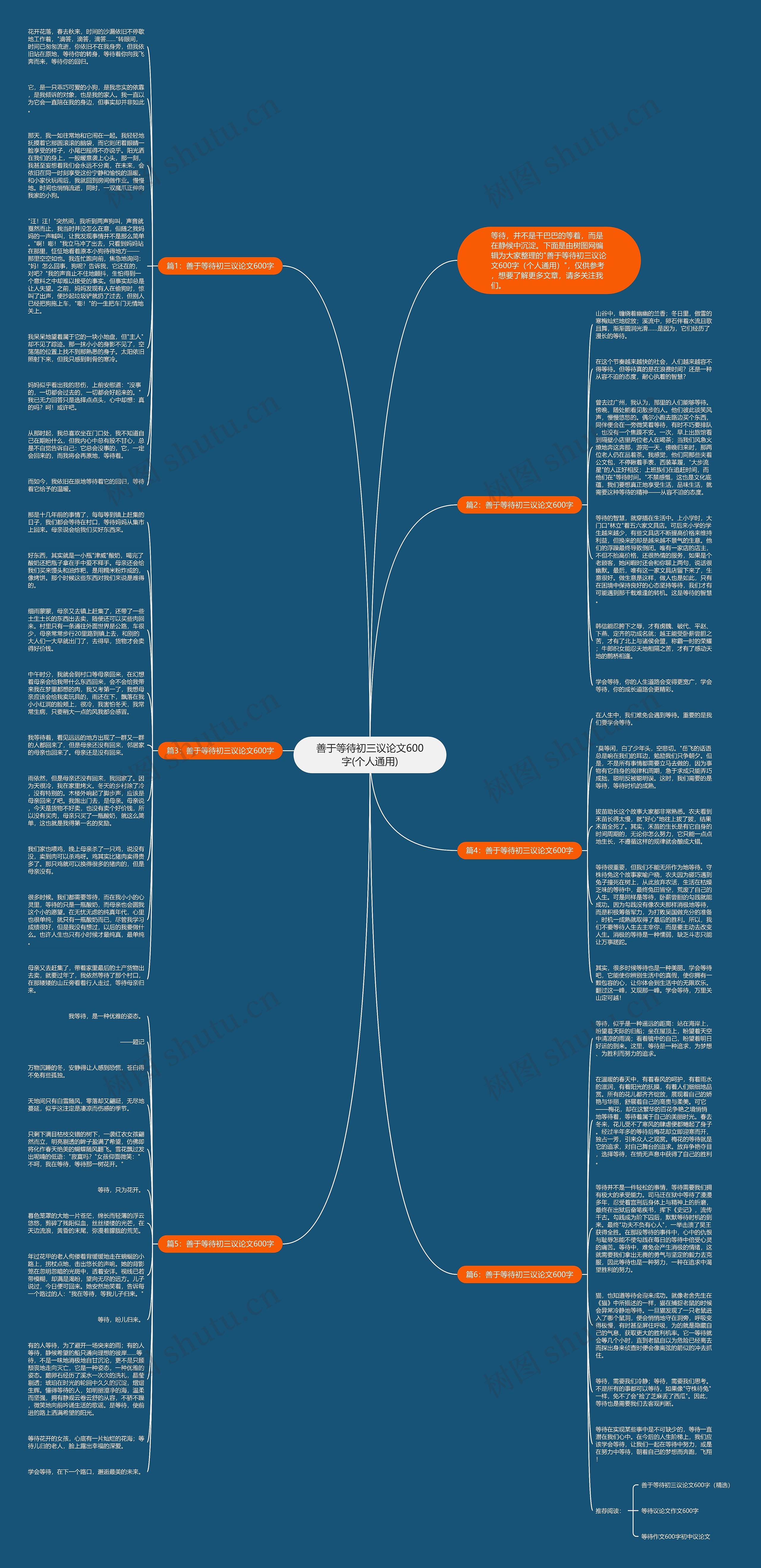 善于等待初三议论文600字(个人通用)思维导图