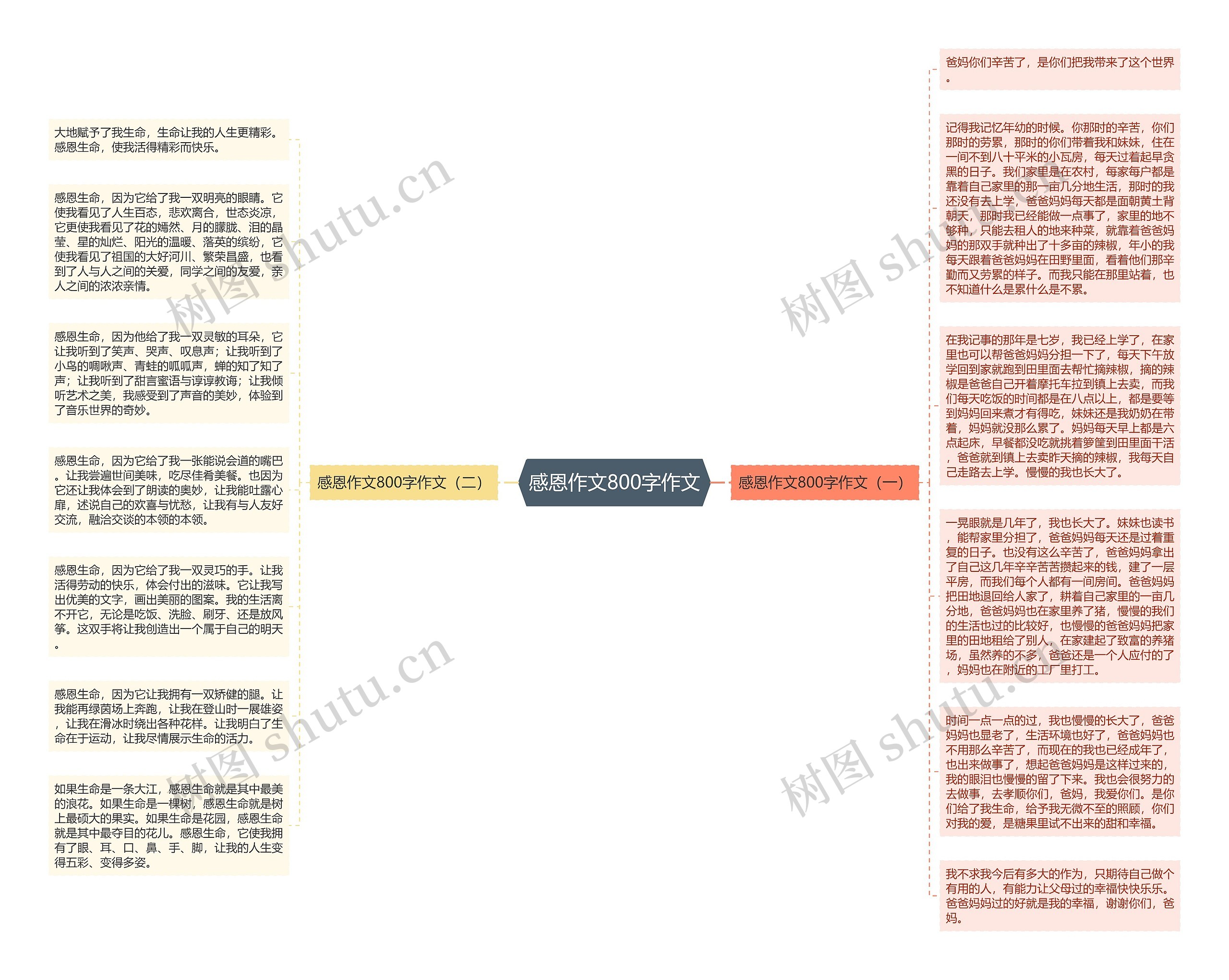 感恩作文800字作文思维导图