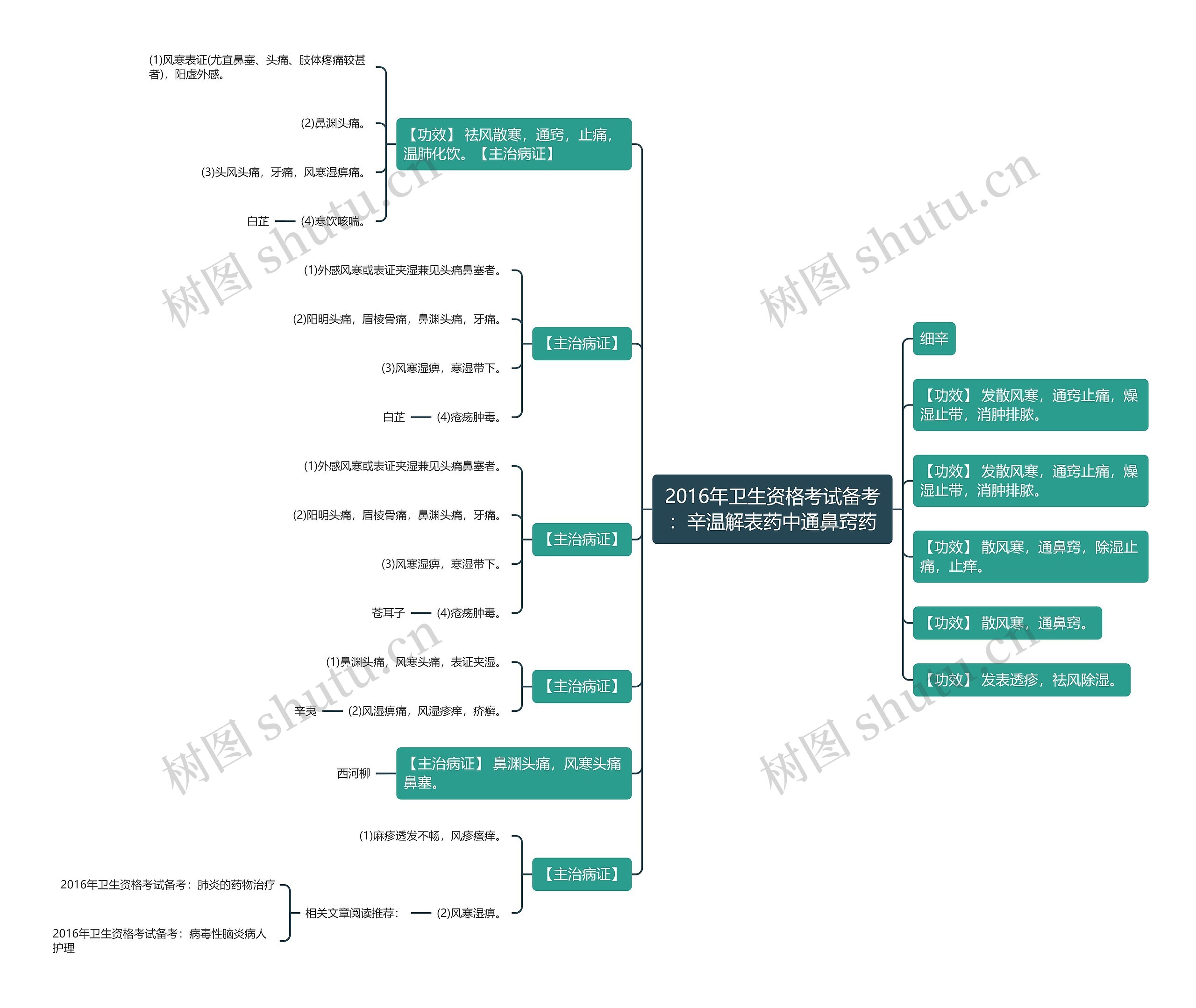 2016年卫生资格考试备考：辛温解表药中通鼻窍药思维导图