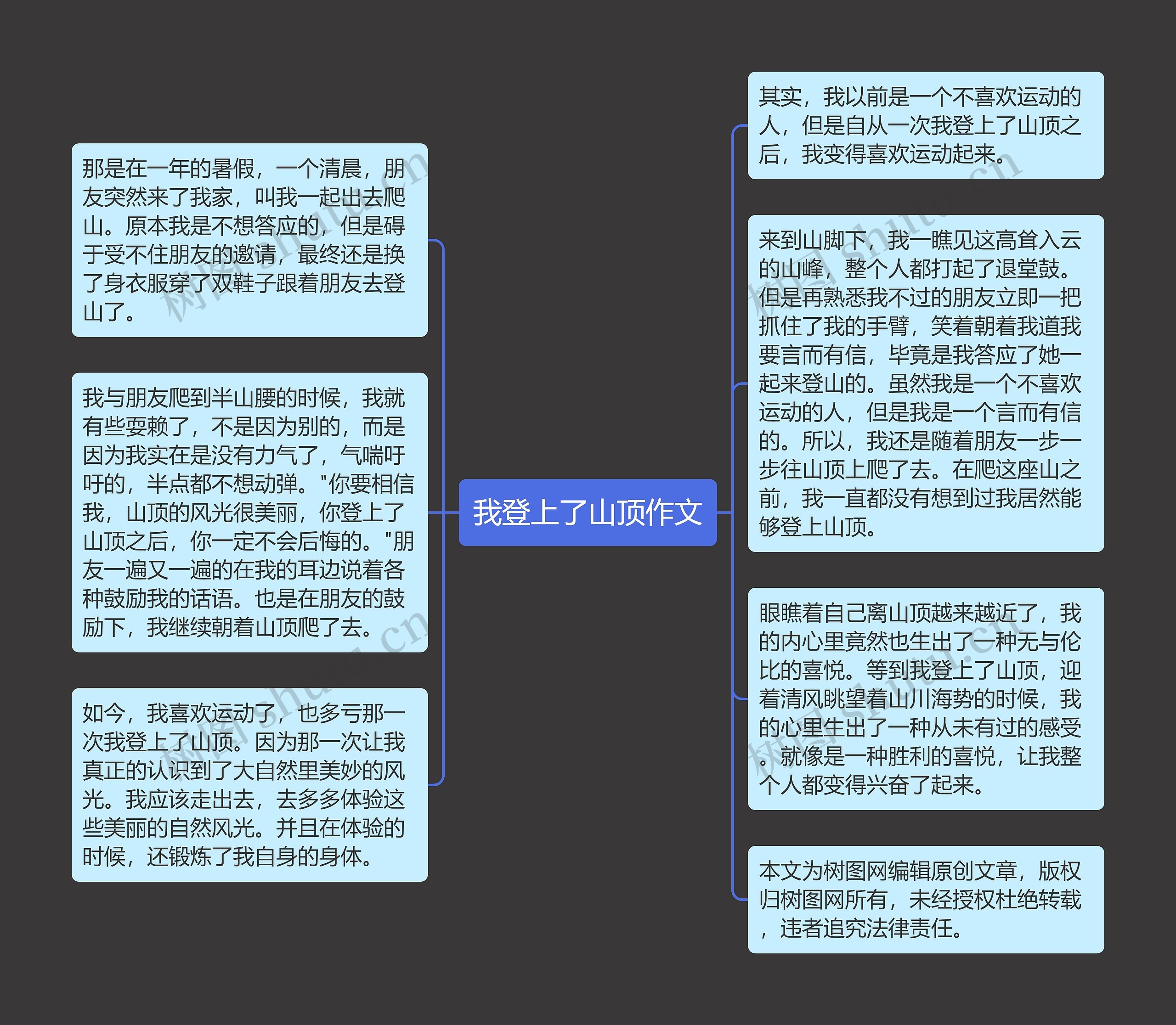 我登上了山顶作文