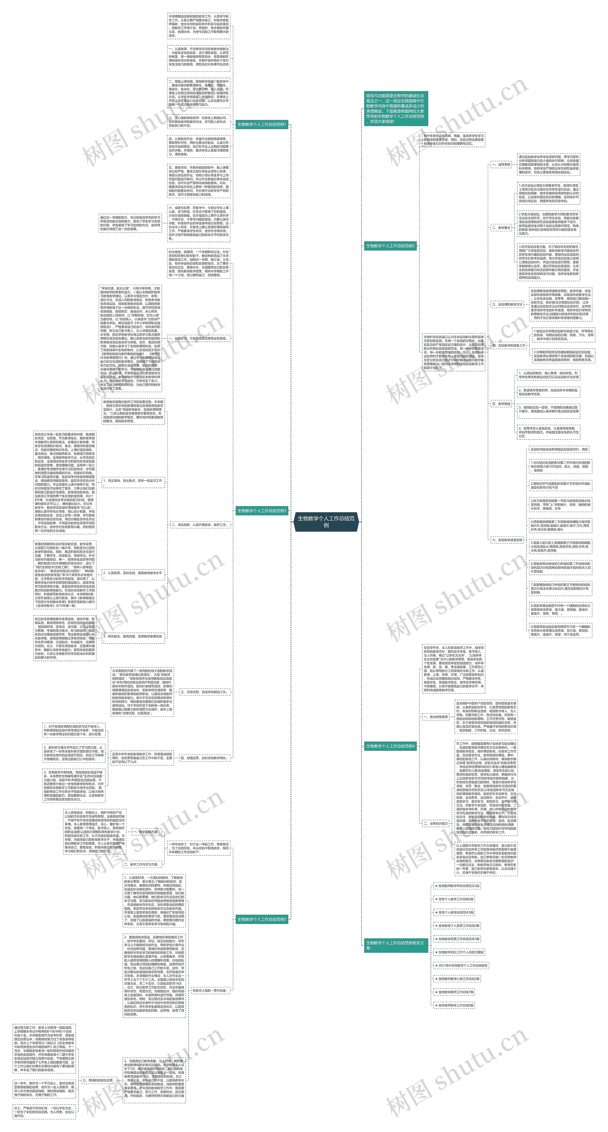 生物教学个人工作总结范例思维导图