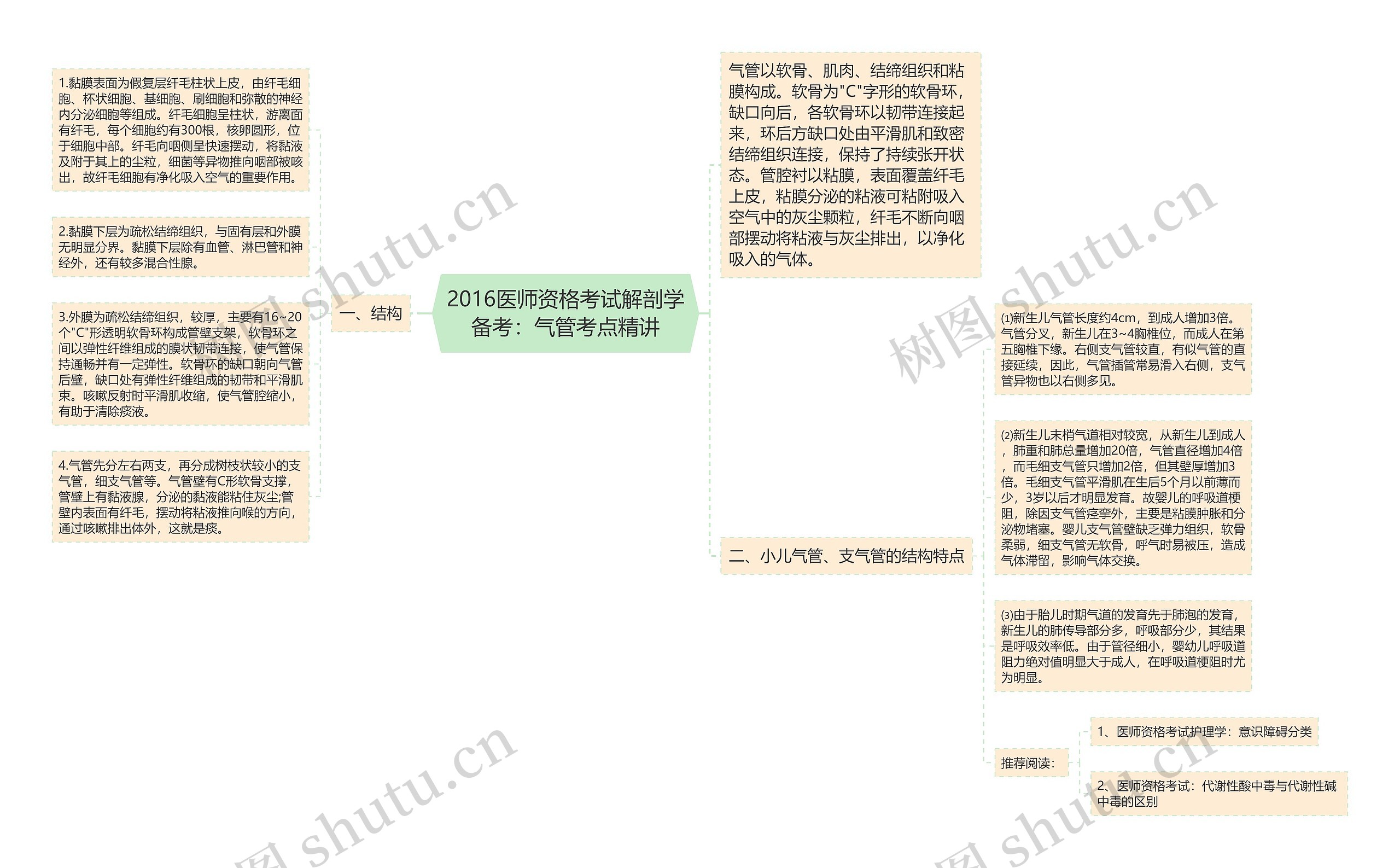 2016医师资格考试解剖学备考：气管考点精讲