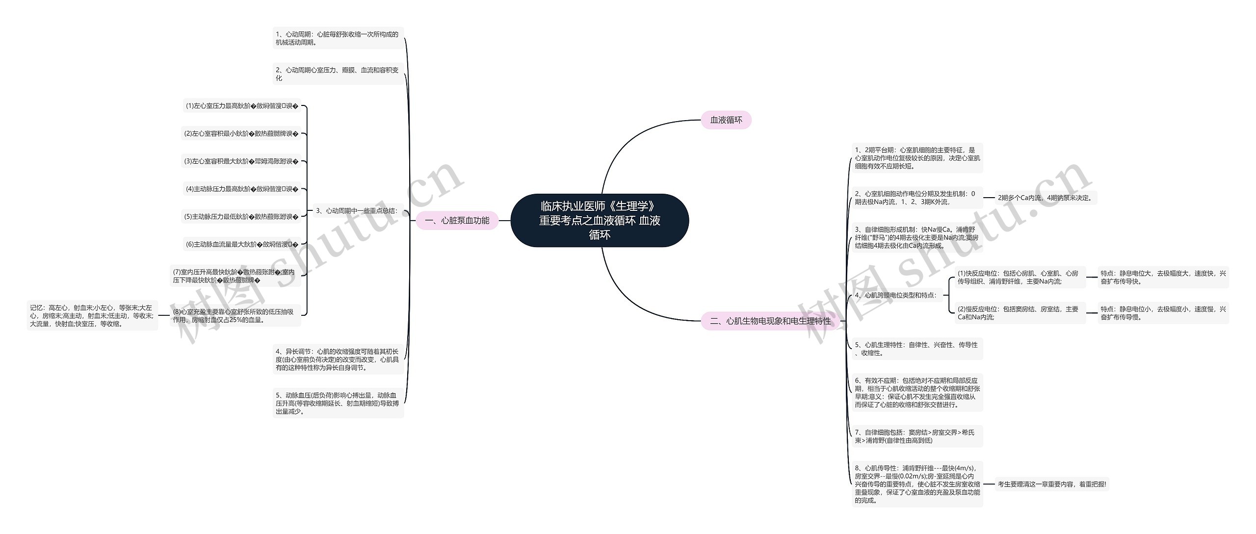 临床执业医师《生理学》重要考点之血液循环 血液循环