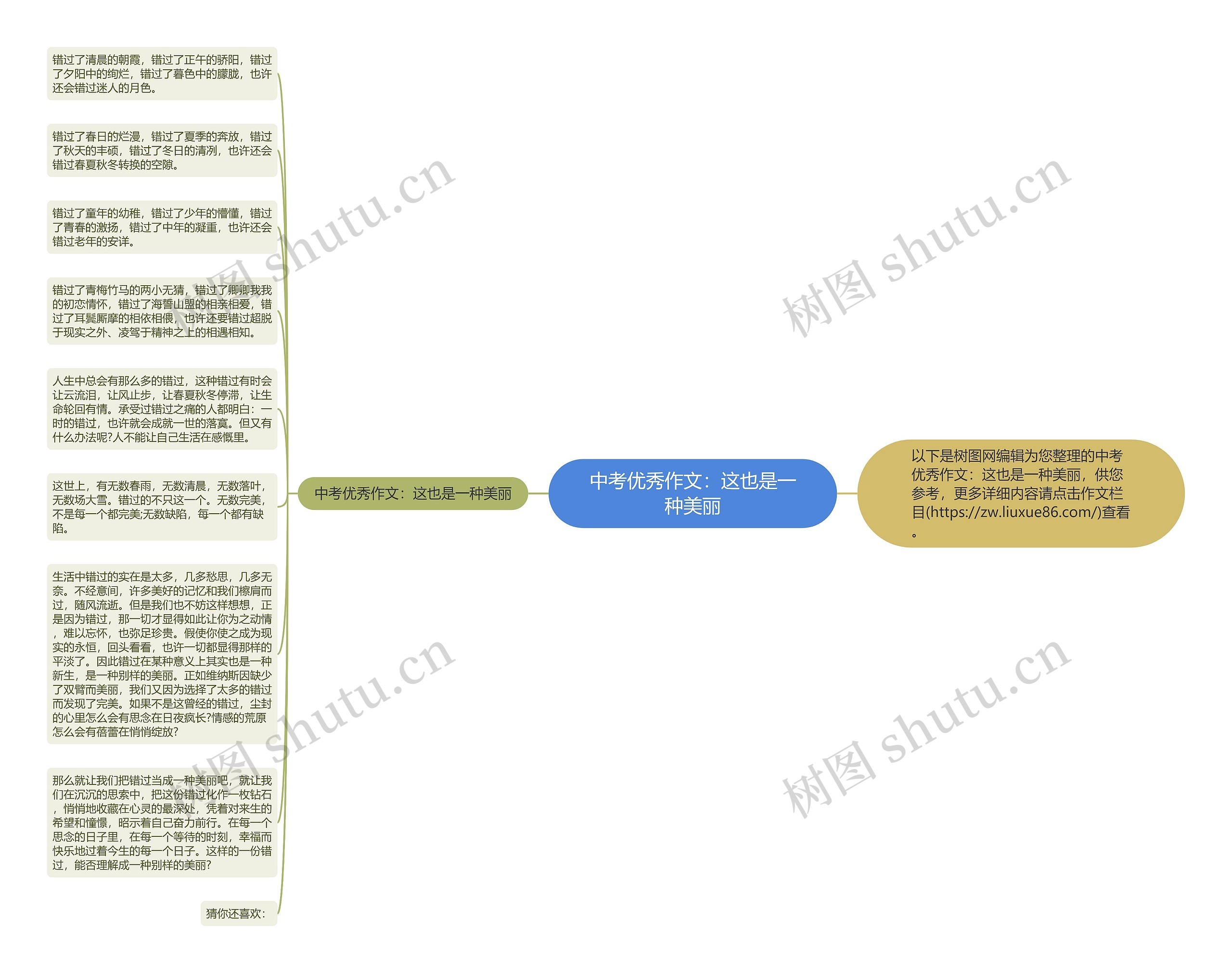 中考优秀作文：这也是一种美丽思维导图