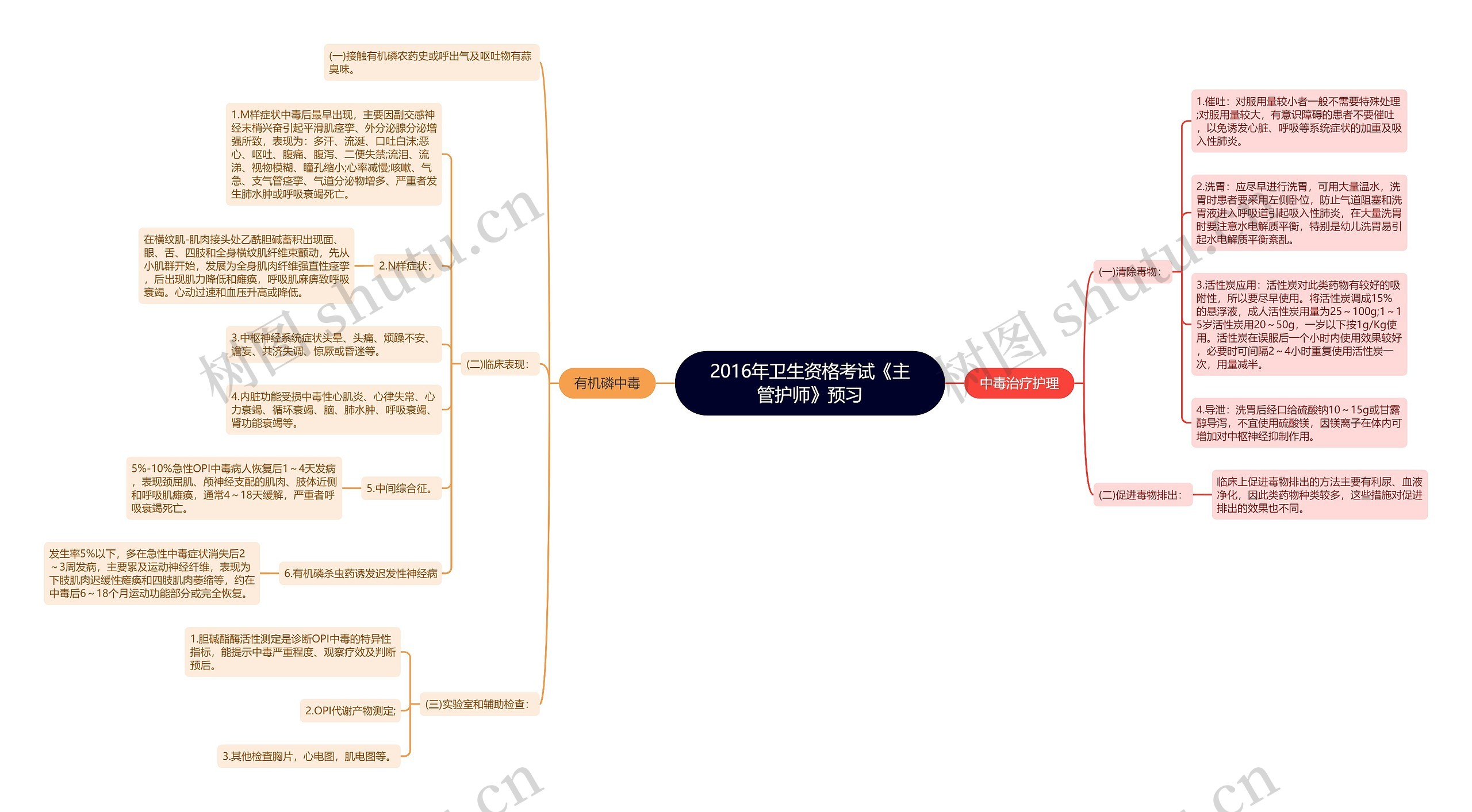 2016年卫生资格考试《主管护师》预习思维导图高清图 2016年卫生资格考试《主管护师》预习思维导图