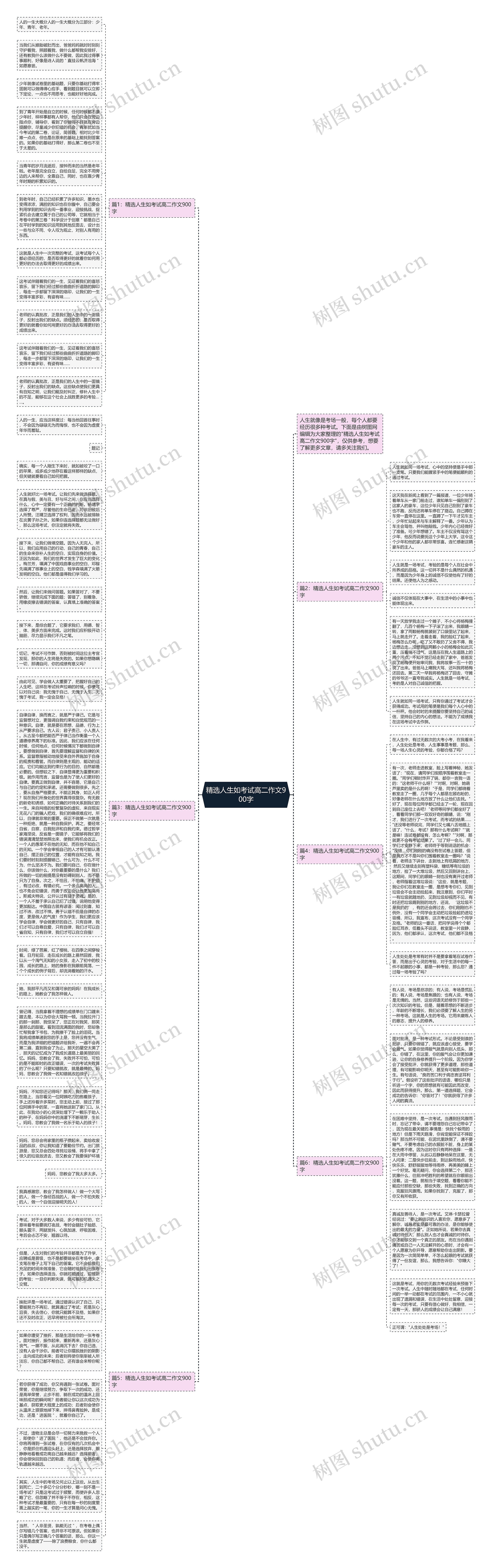 精选人生如考试高二作文900字思维导图