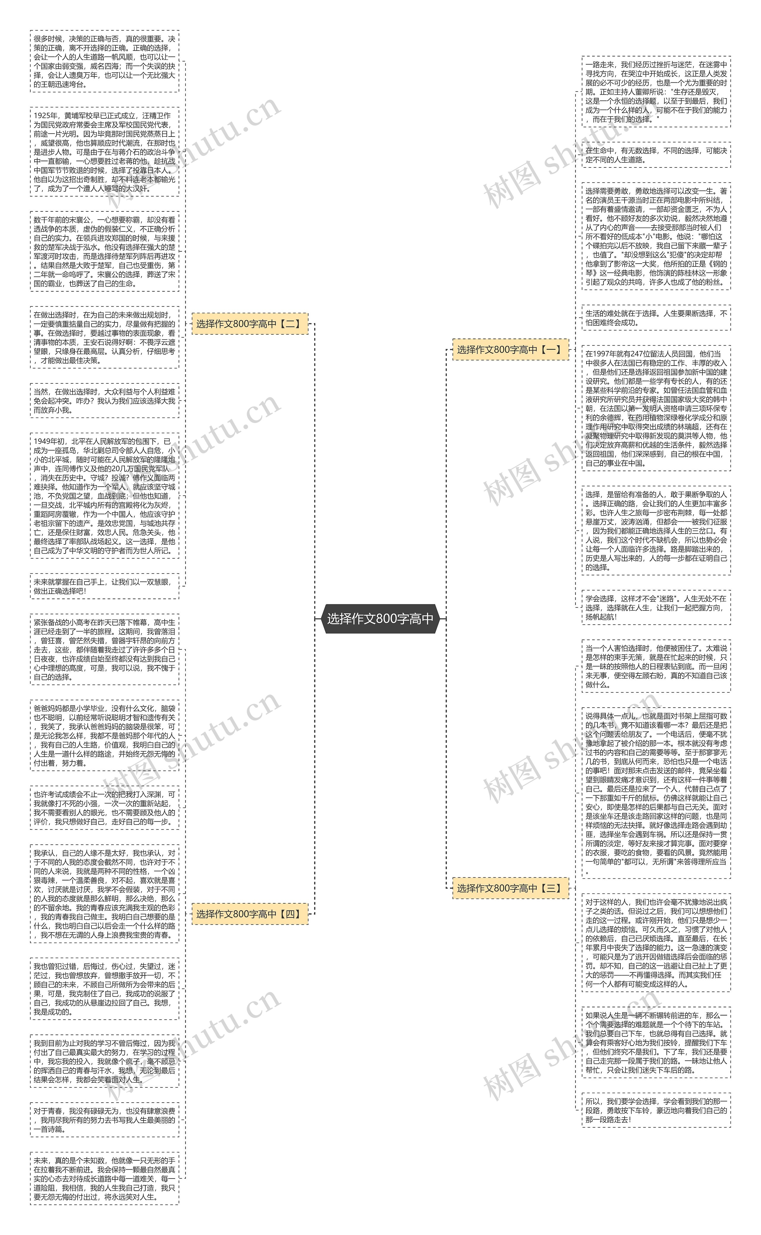 选择作文800字高中思维导图