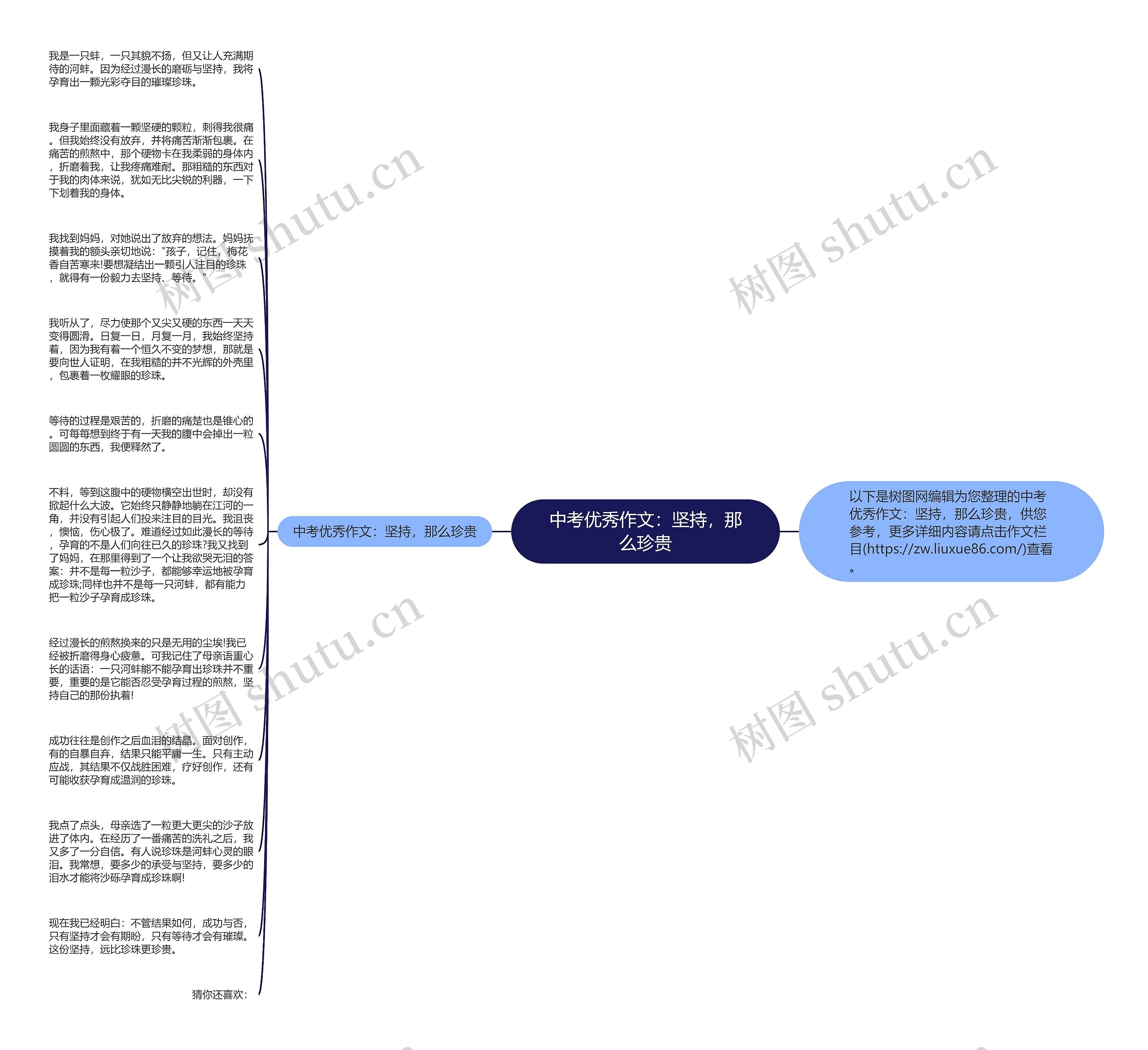 中考优秀作文：坚持，那么珍贵思维导图