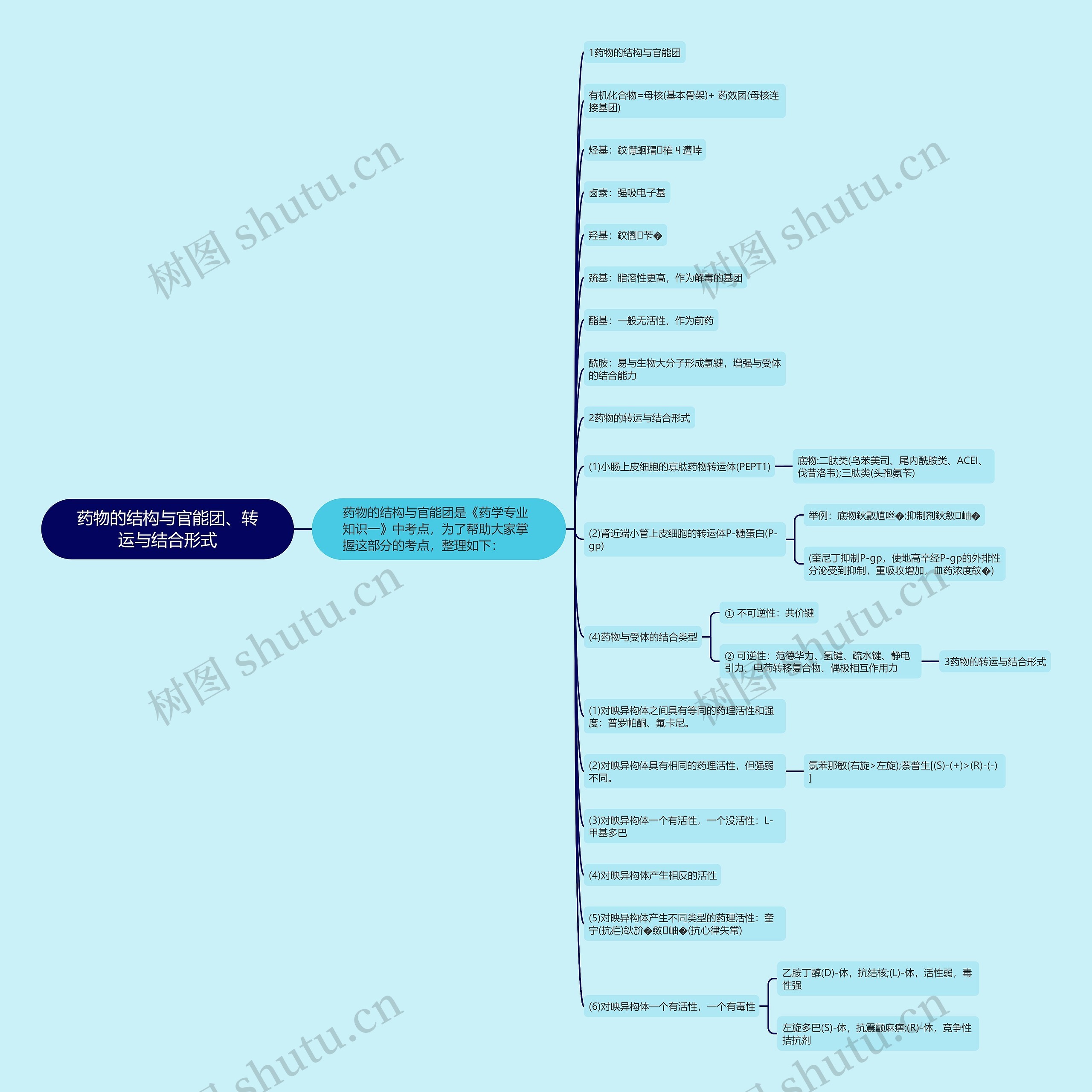 药物的结构与官能团、转运与结合形式思维导图