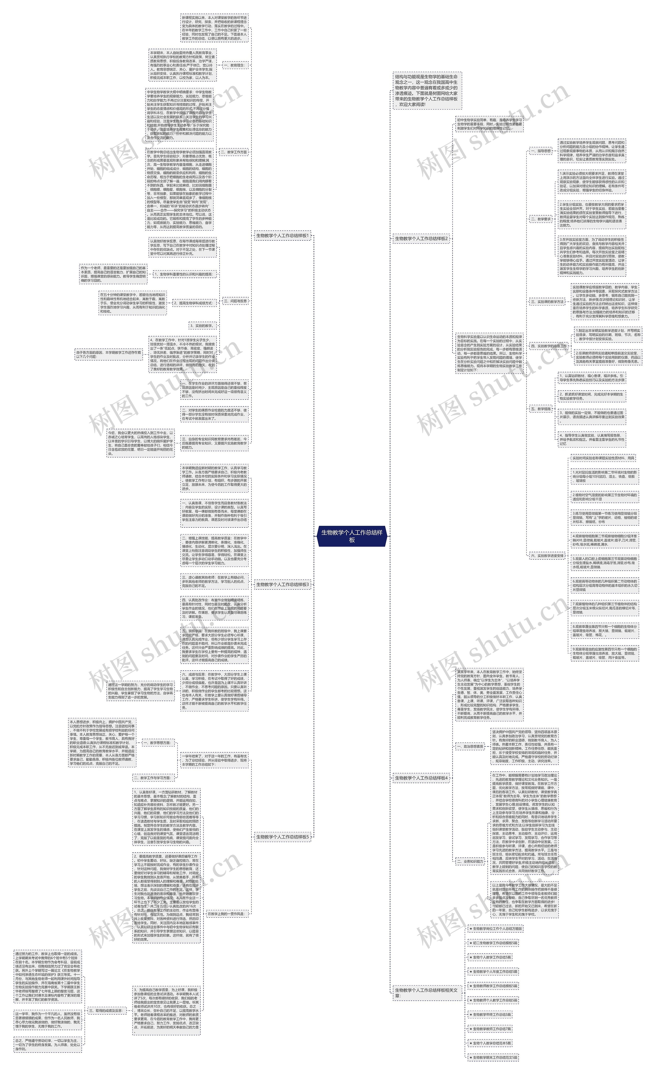 生物教学个人工作总结样板思维导图
