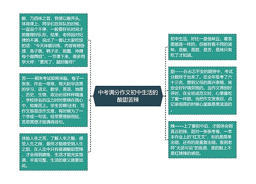 中考满分作文初中生活的酸甜苦辣