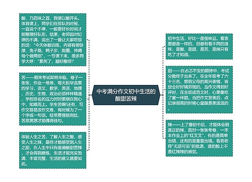 中考满分作文初中生活的酸甜苦辣