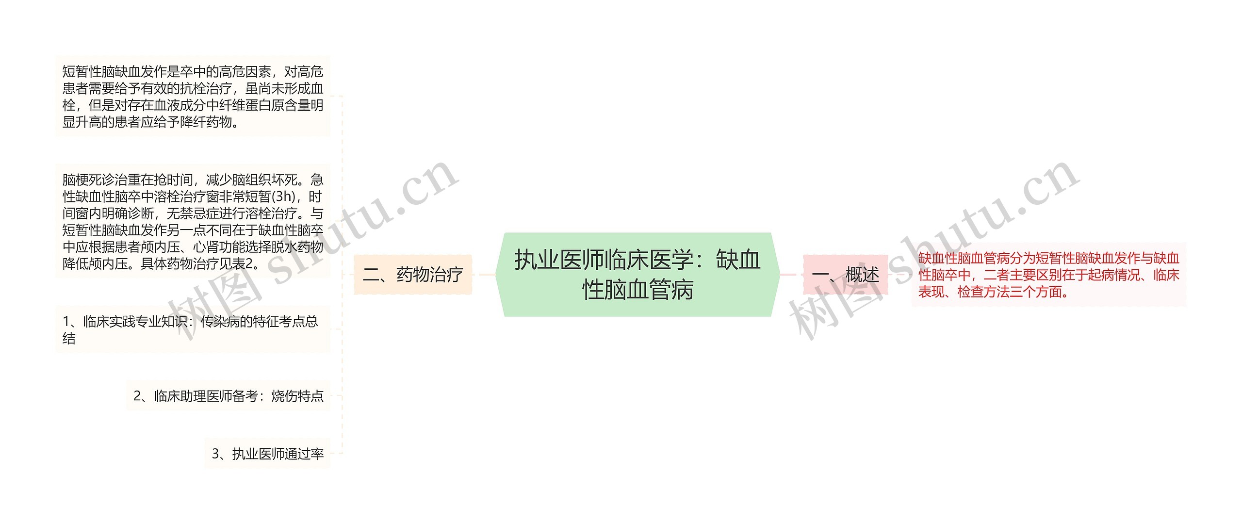 执业医师临床医学：缺血性脑血管病