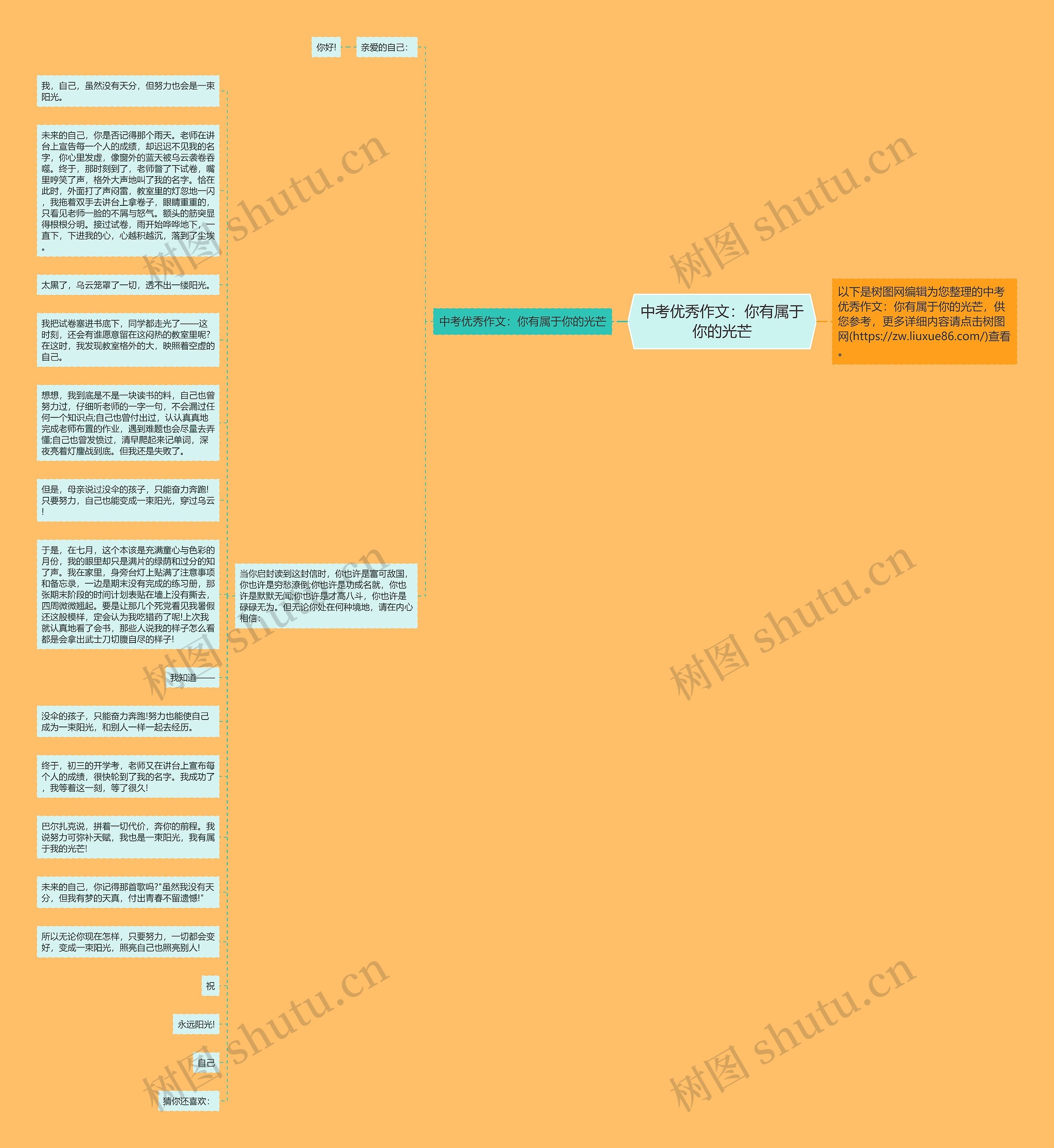 中考优秀作文：你有属于你的光芒思维导图