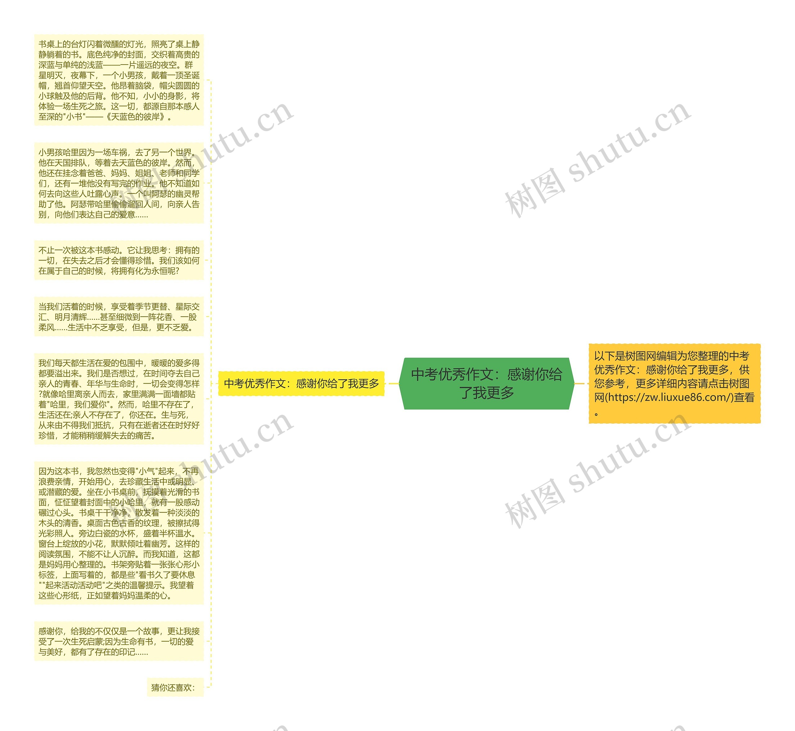 中考优秀作文：感谢你给了我更多思维导图