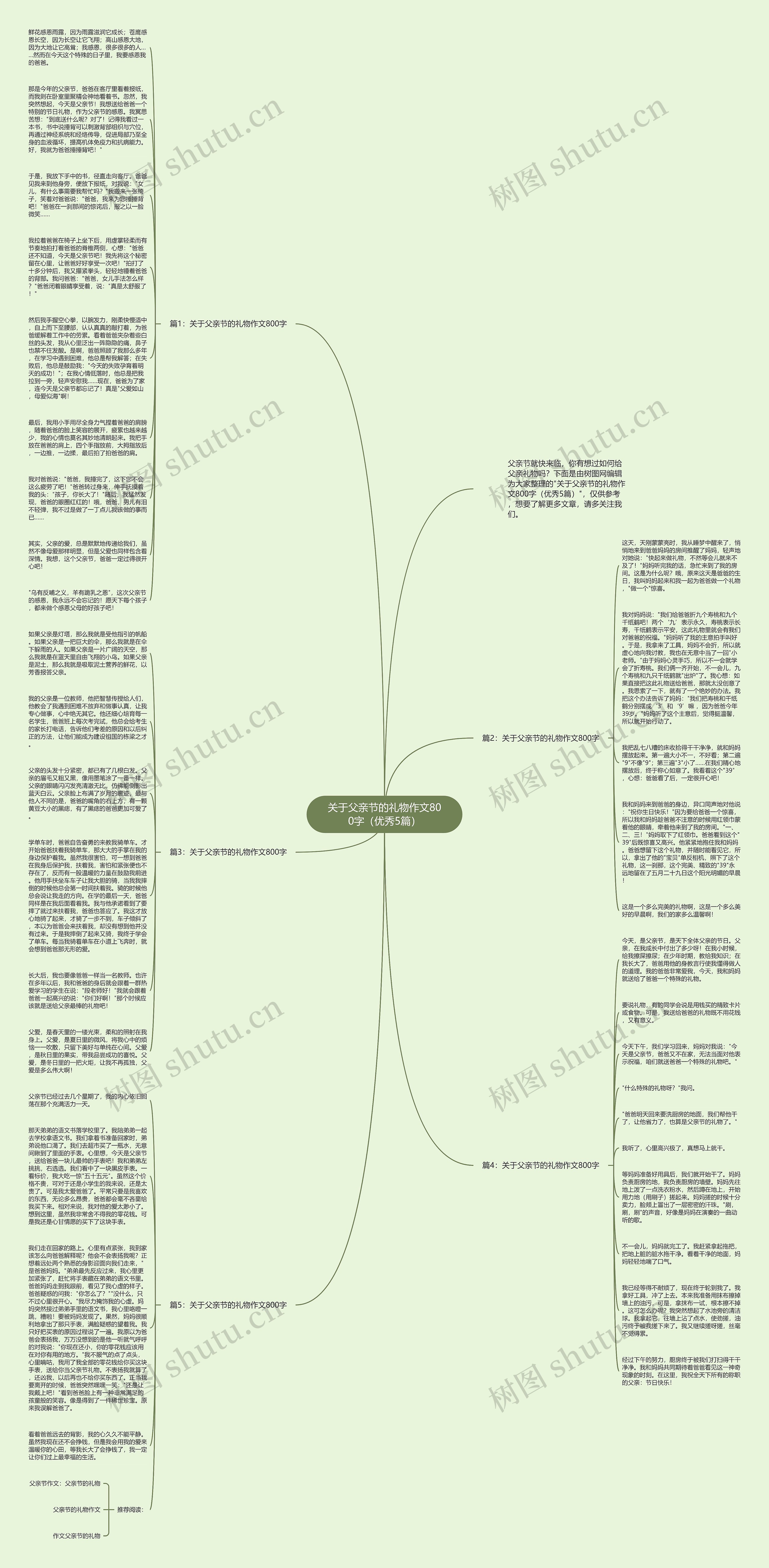 关于父亲节的礼物作文800字（优秀5篇）思维导图