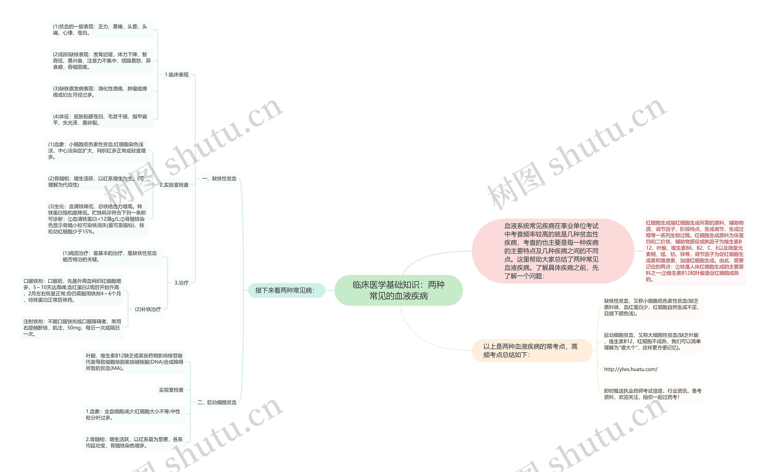 临床医学基础知识：两种常见的血液疾病