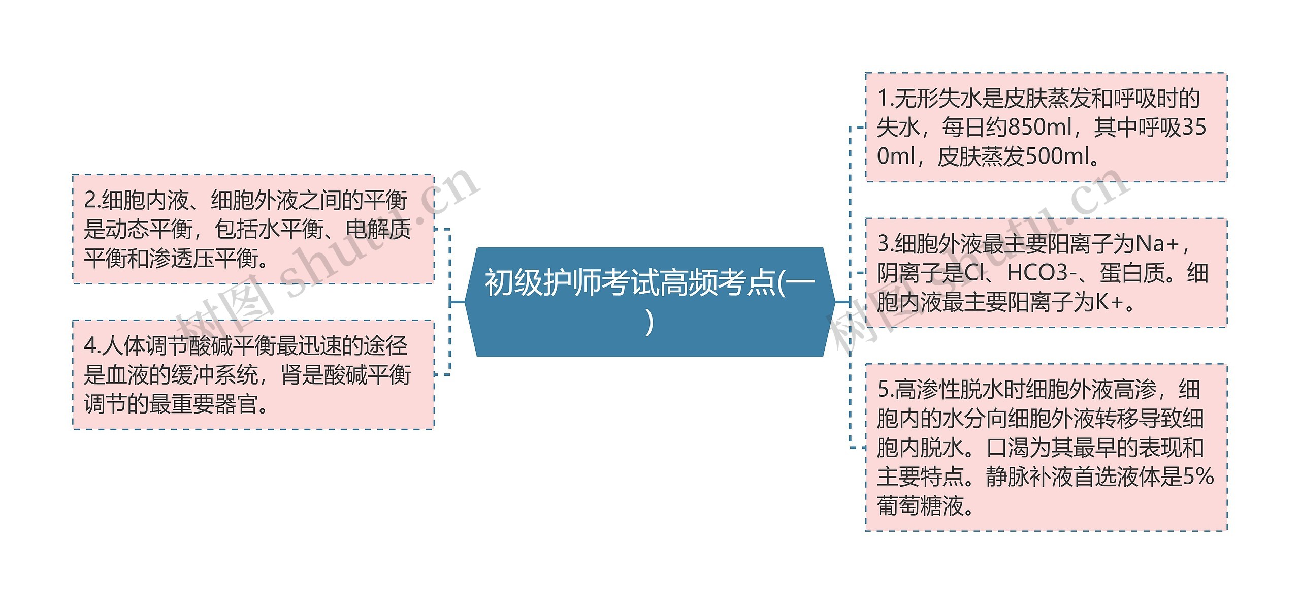 初级护师考试高频考点(一)