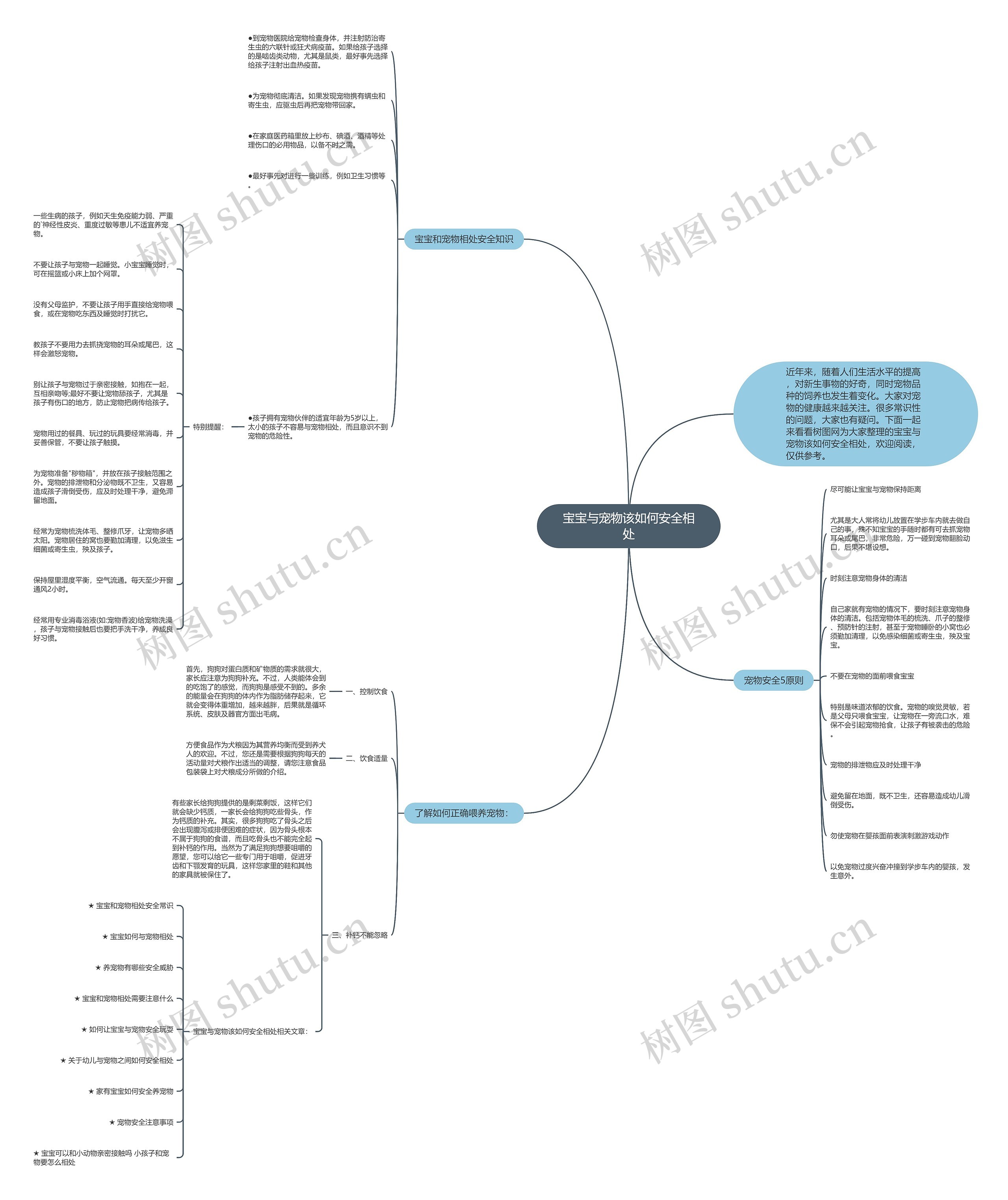 宝宝与宠物该如何安全相处思维导图