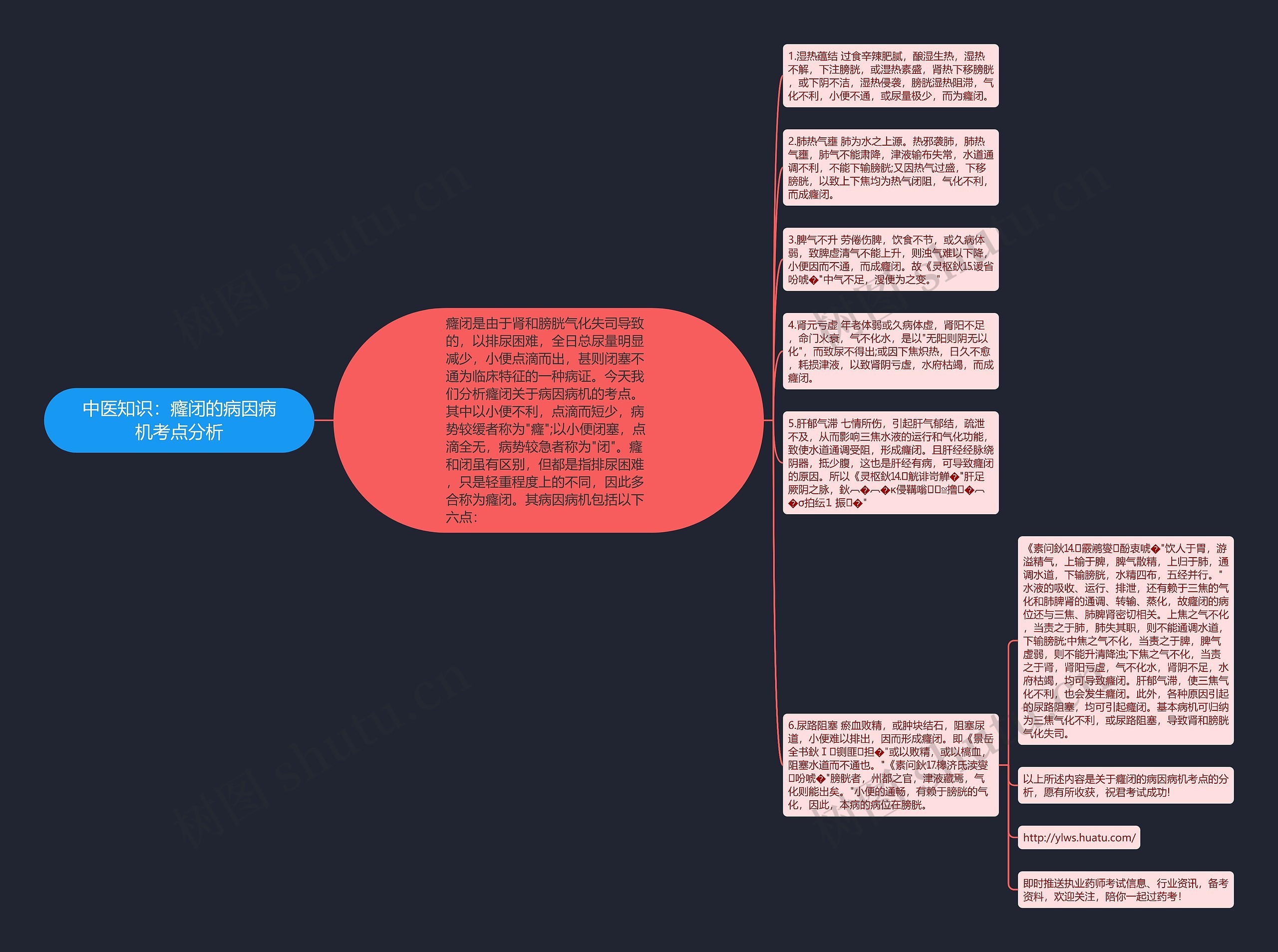 中医知识：癃闭的病因病机考点分析思维导图