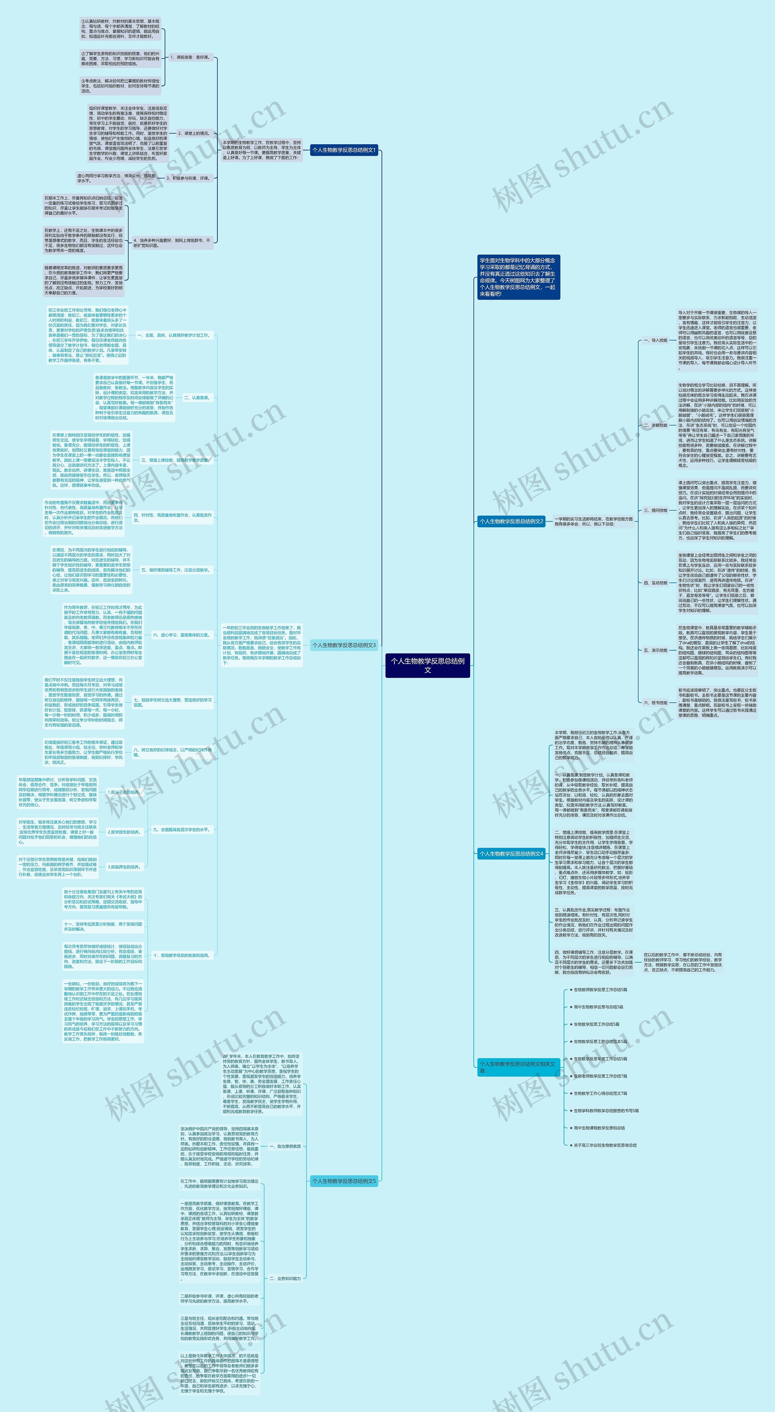 个人生物教学反思总结例文思维导图