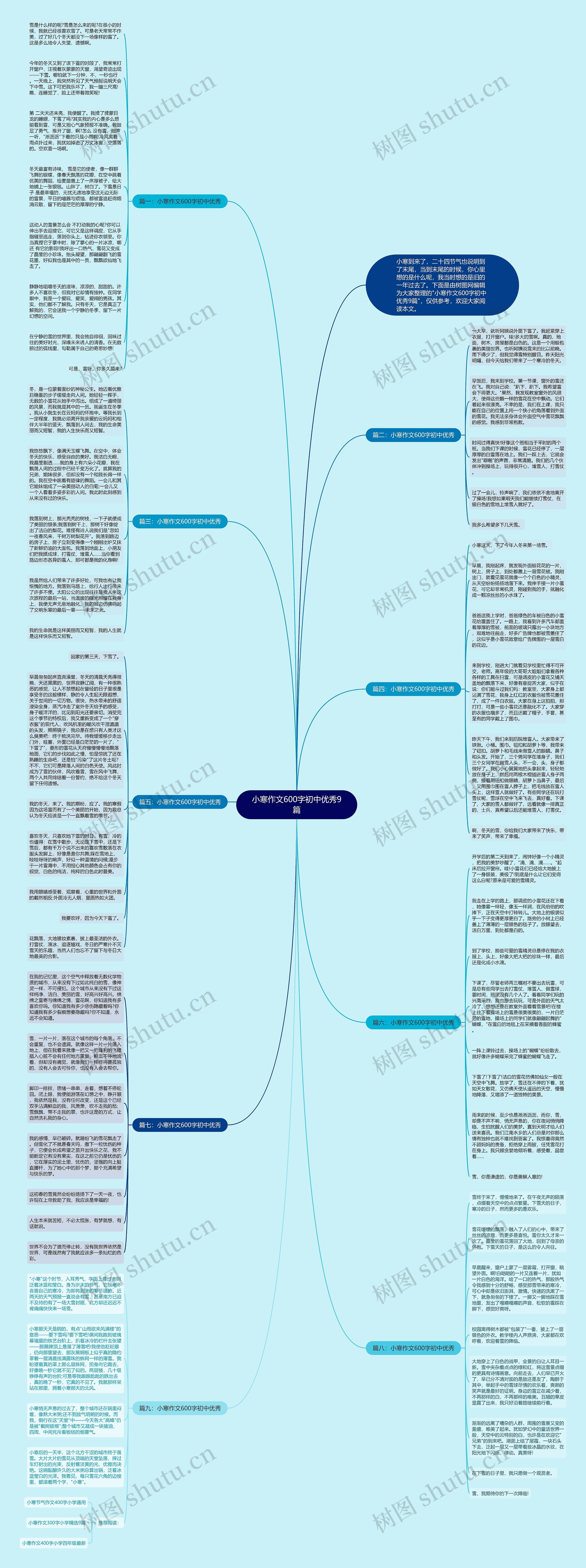 小寒作文600字初中优秀9篇思维导图