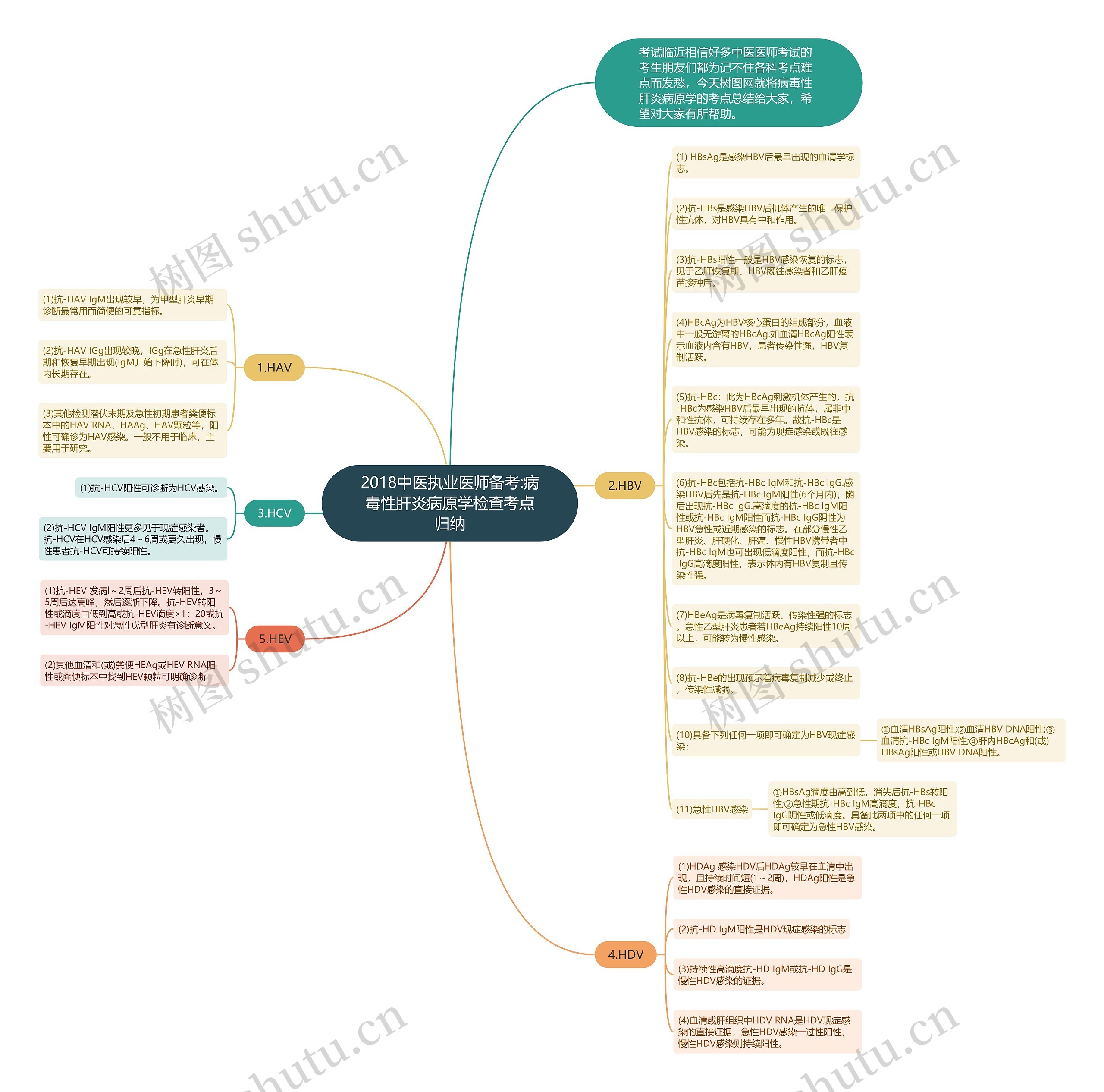 2018中医执业医师备考:病毒性肝炎病原学检查考点归纳