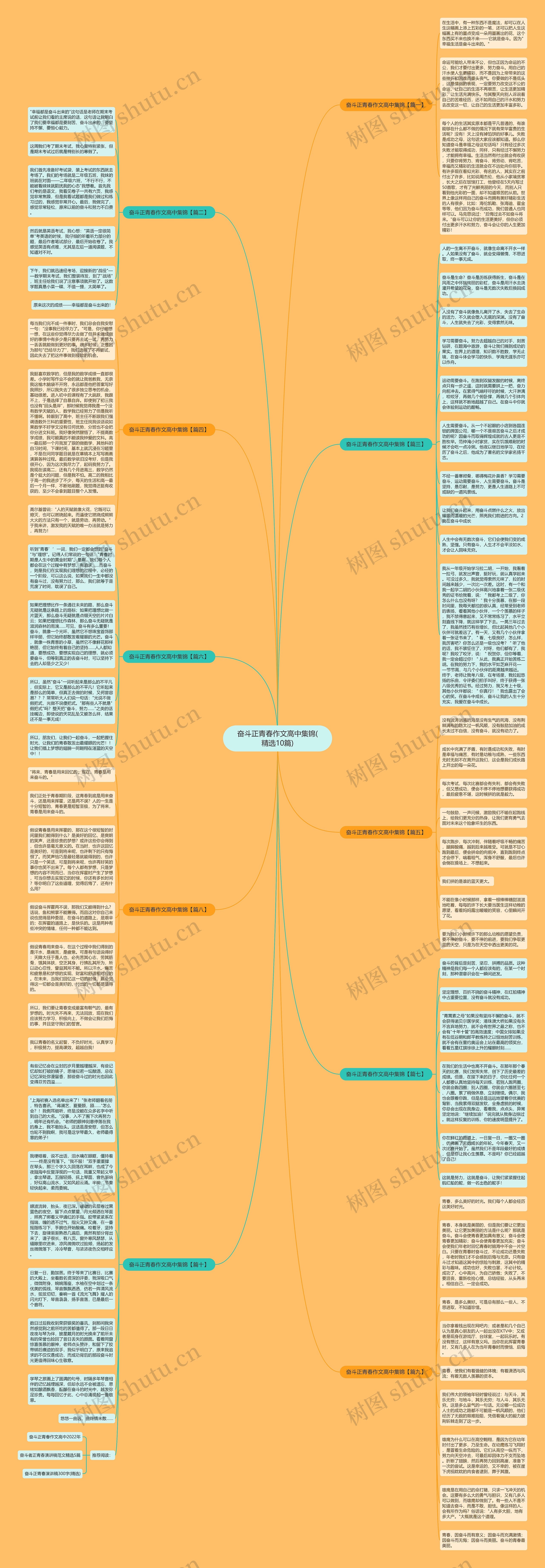 奋斗正青春作文高中集锦(精选10篇)思维导图