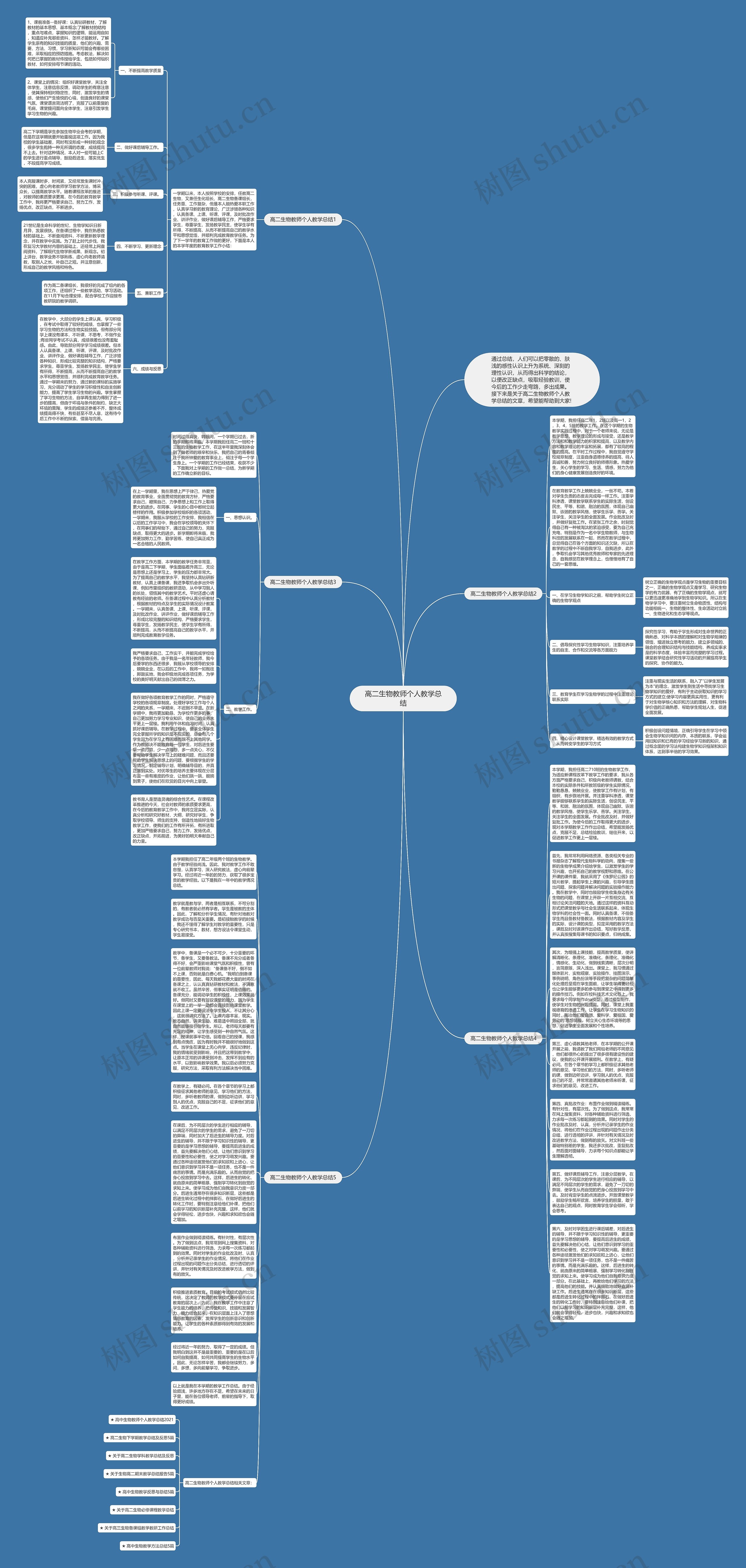 高二生物教师个人教学总结思维导图