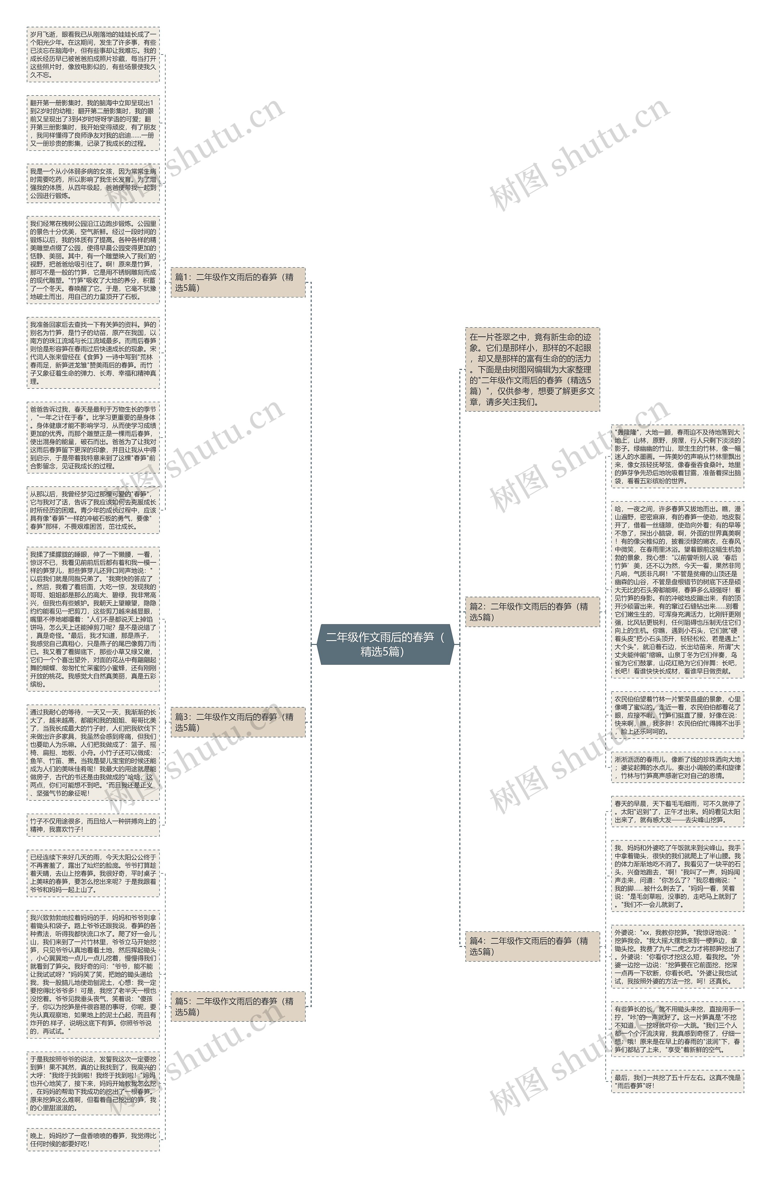 二年级作文雨后的春笋（精选5篇）思维导图