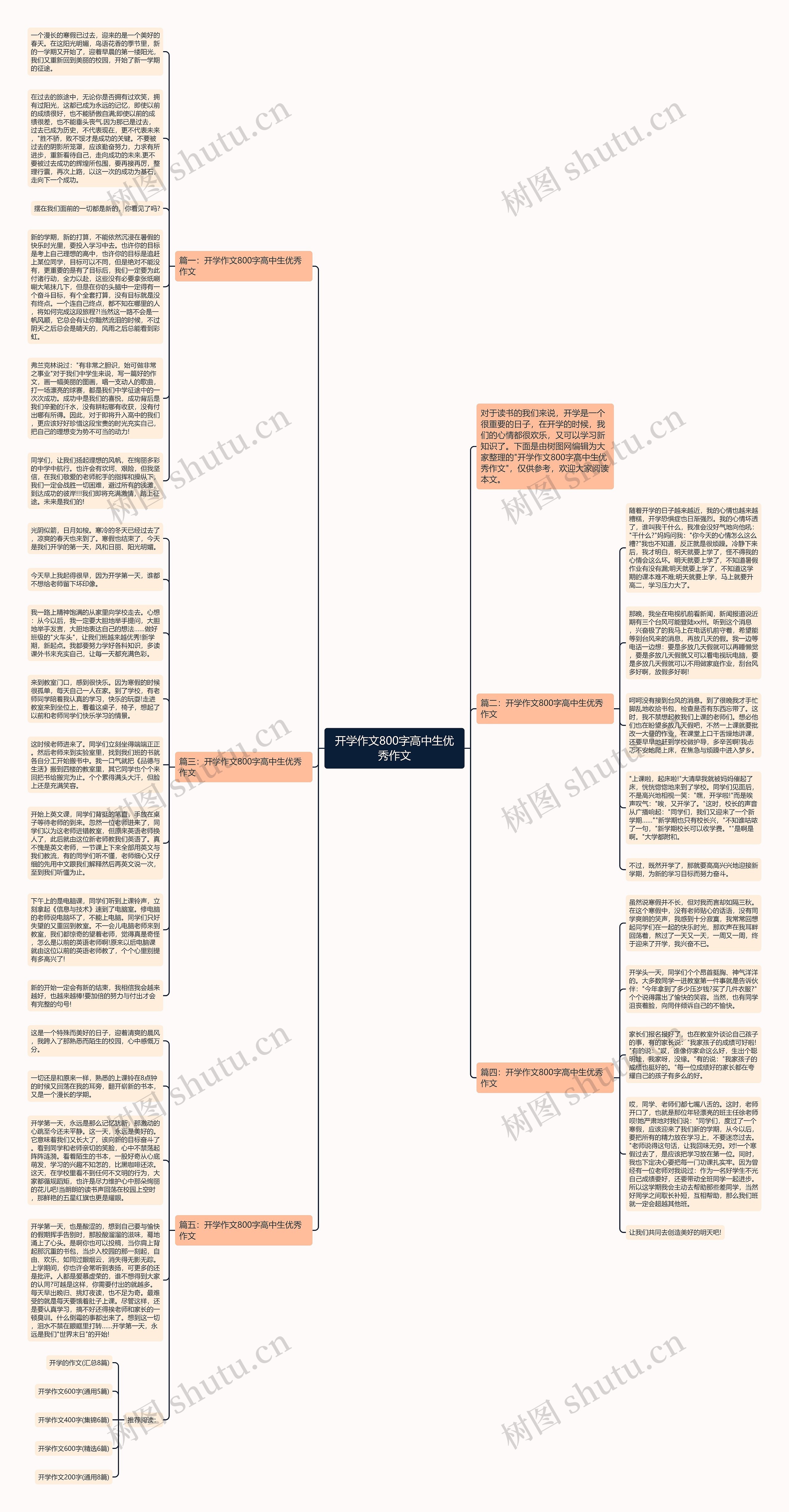 开学作文800字高中生优秀作文思维导图