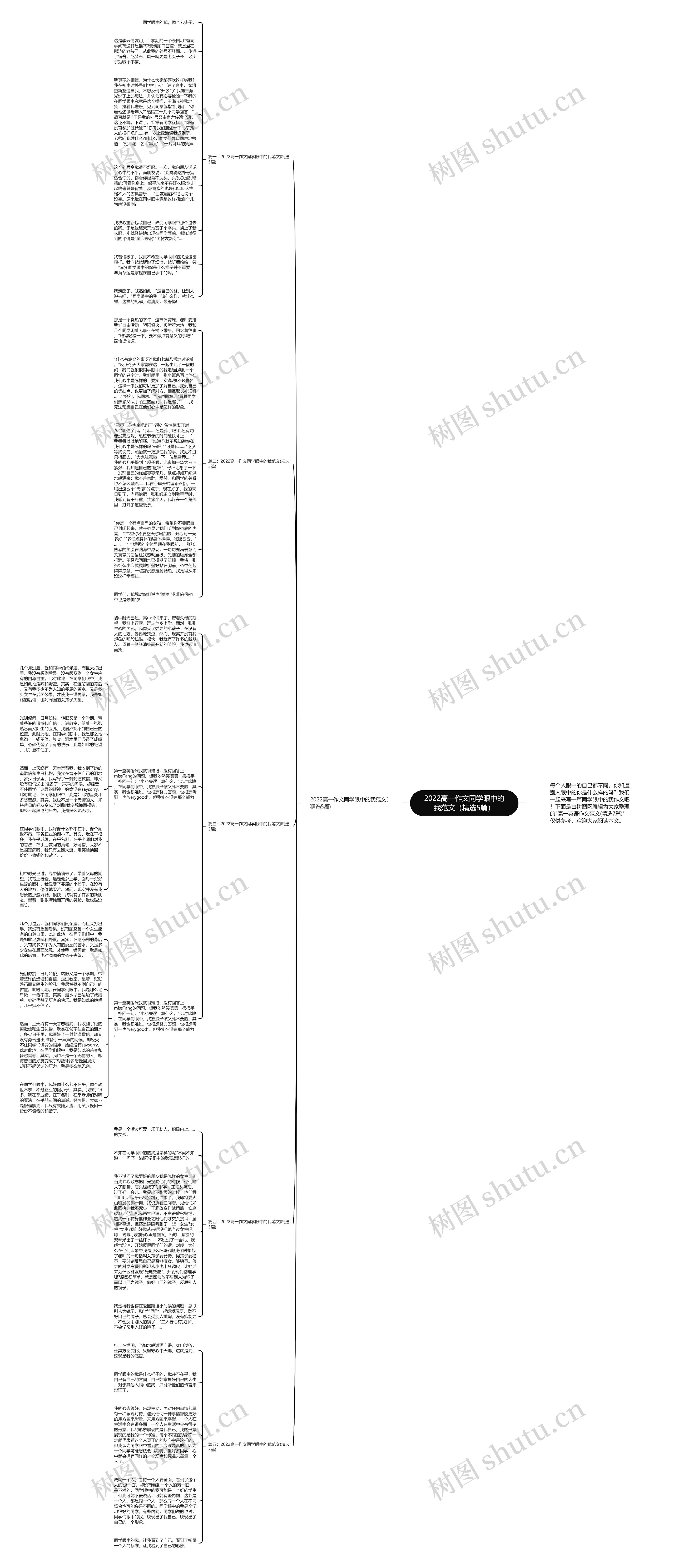 2022高一作文同学眼中的我范文（精选5篇）思维导图