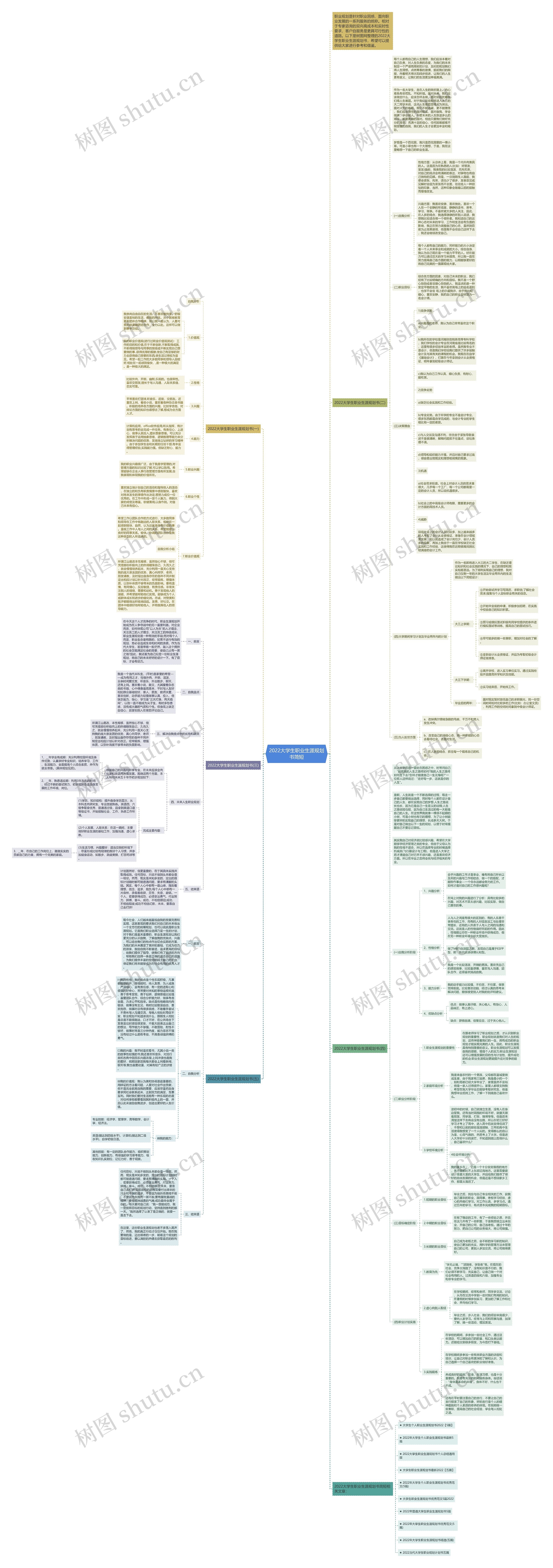 2022大学生职业生涯规划书简短思维导图