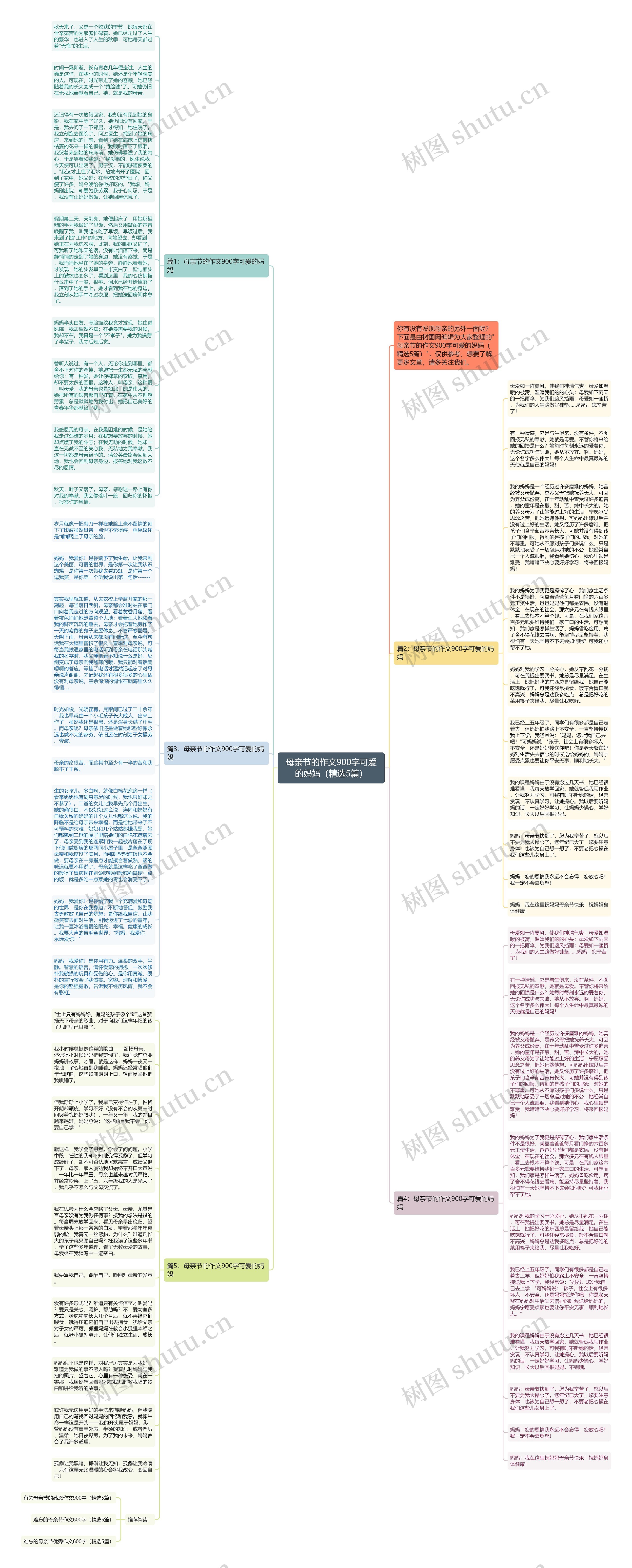 母亲节的作文900字可爱的妈妈（精选5篇）思维导图