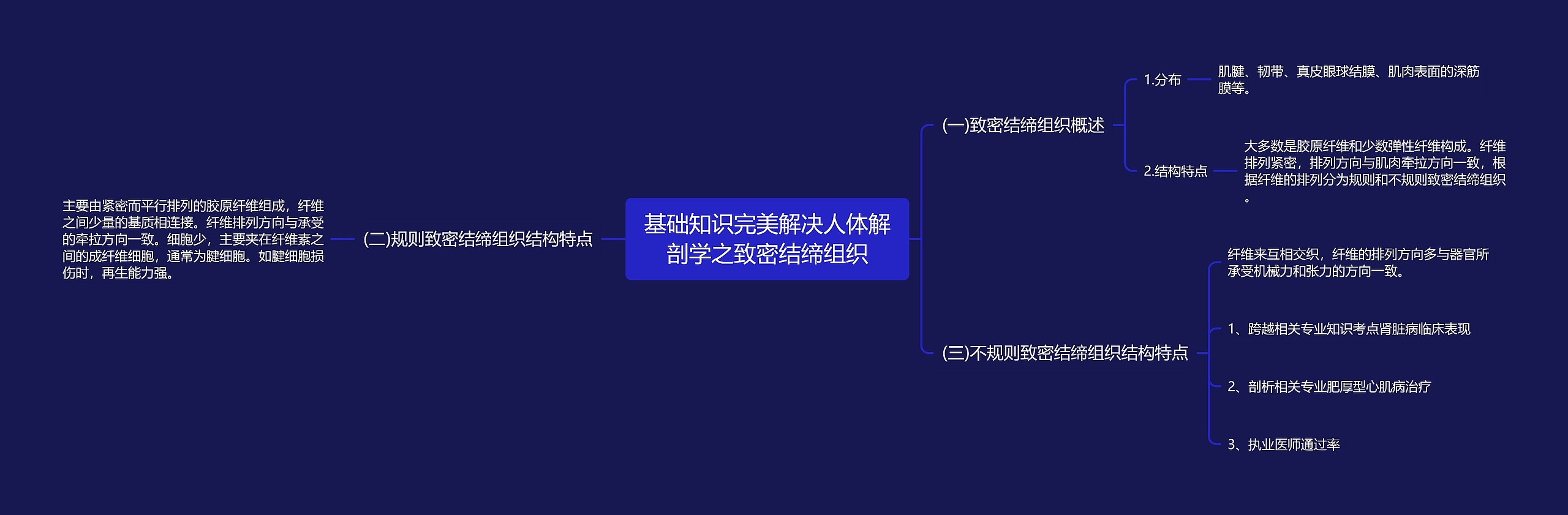 基础知识完美解决人体解剖学之致密结缔组织