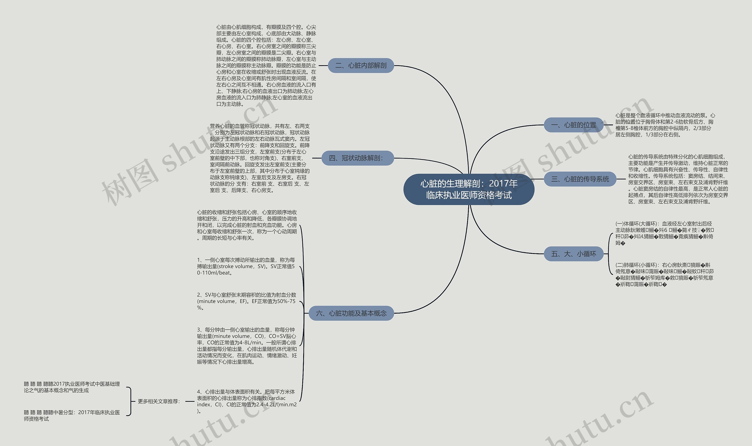 心脏的生理解剖：2017年临床执业医师资格考试思维导图