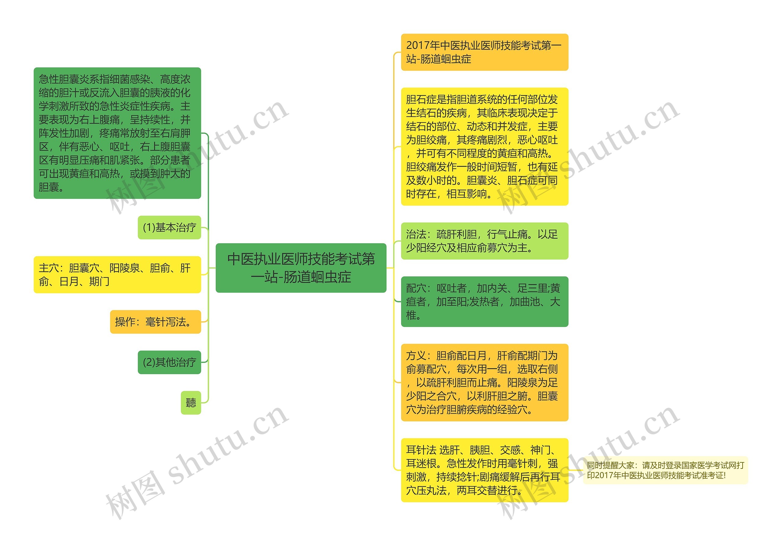 中医执业医师技能考试第一站-肠道蛔虫症