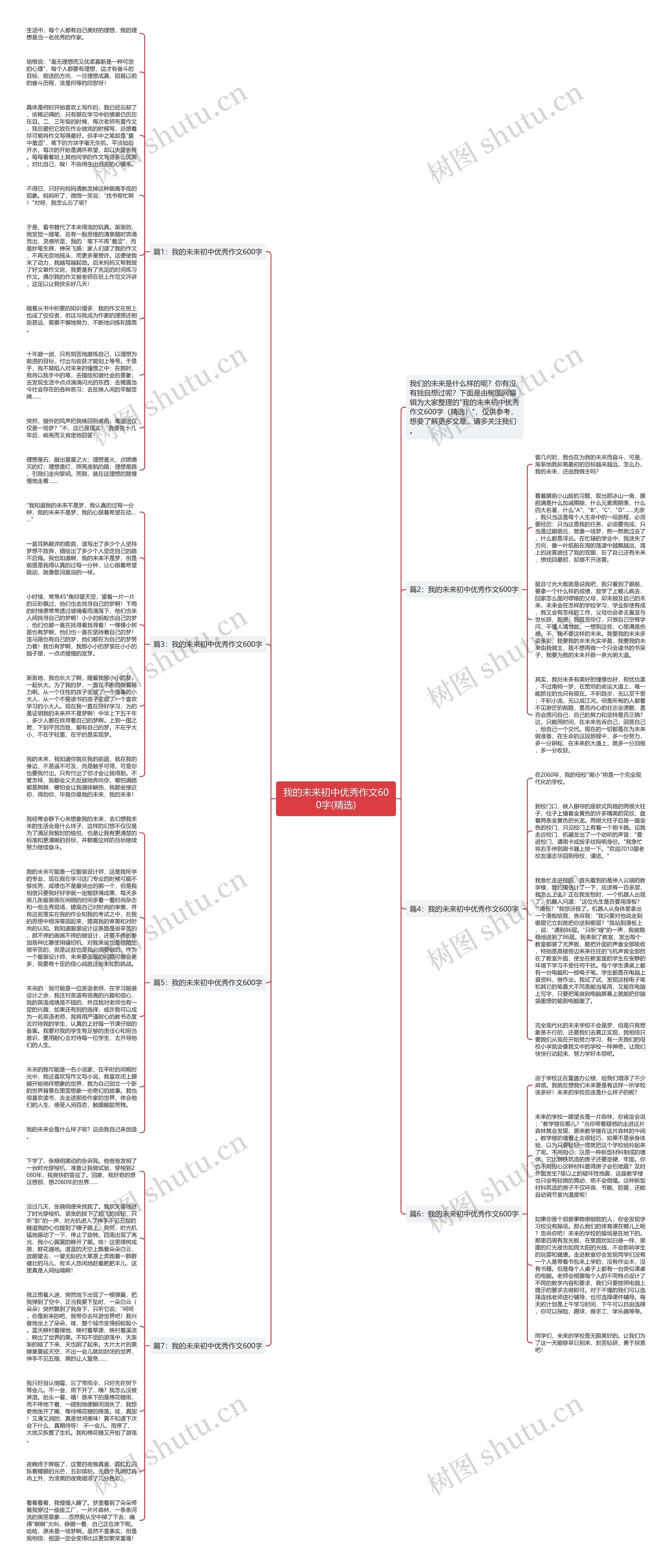 我的未来初中优秀作文600字(精选)