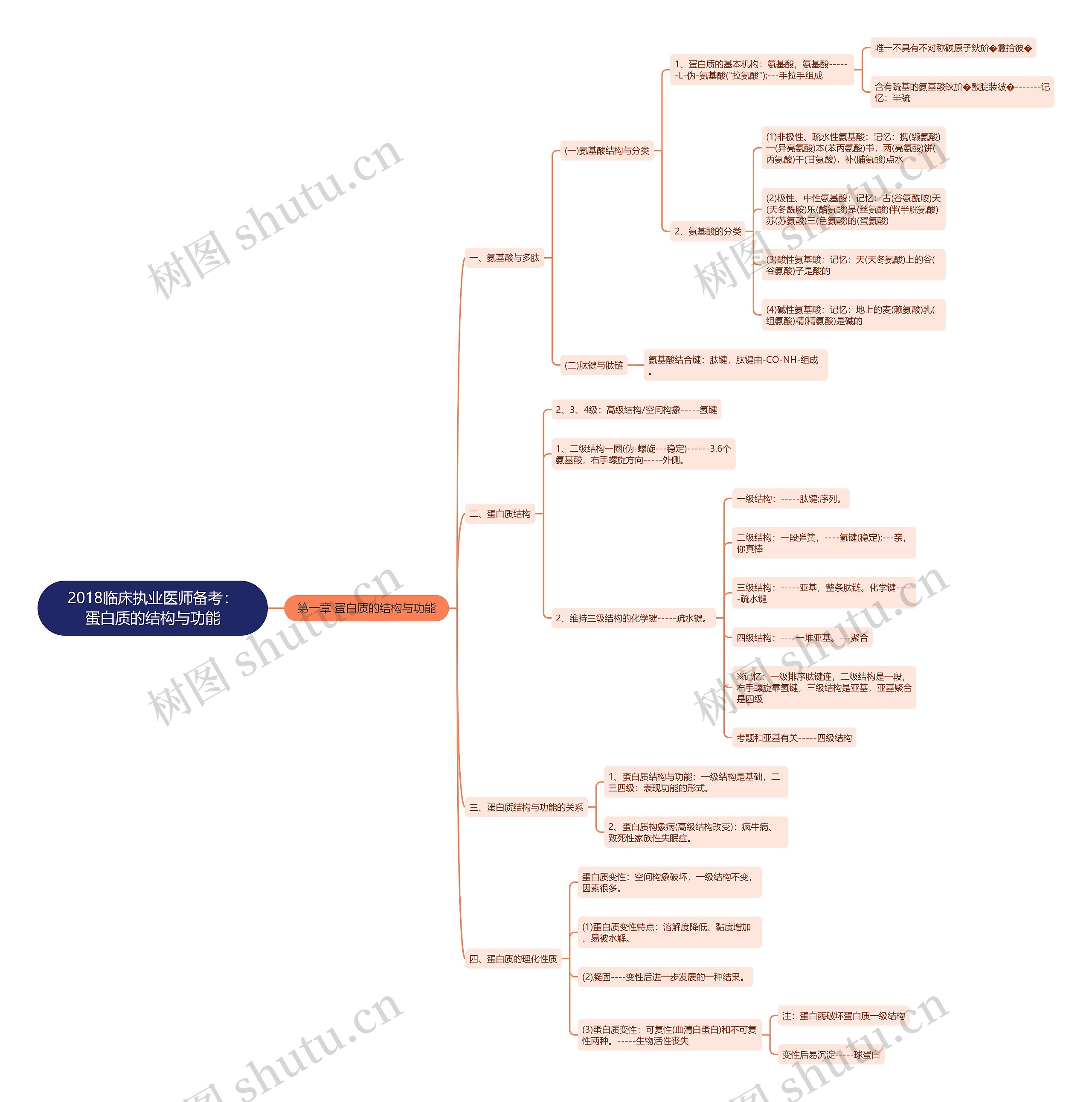 2018临床执业医师备考：蛋白质的结构与功能思维导图