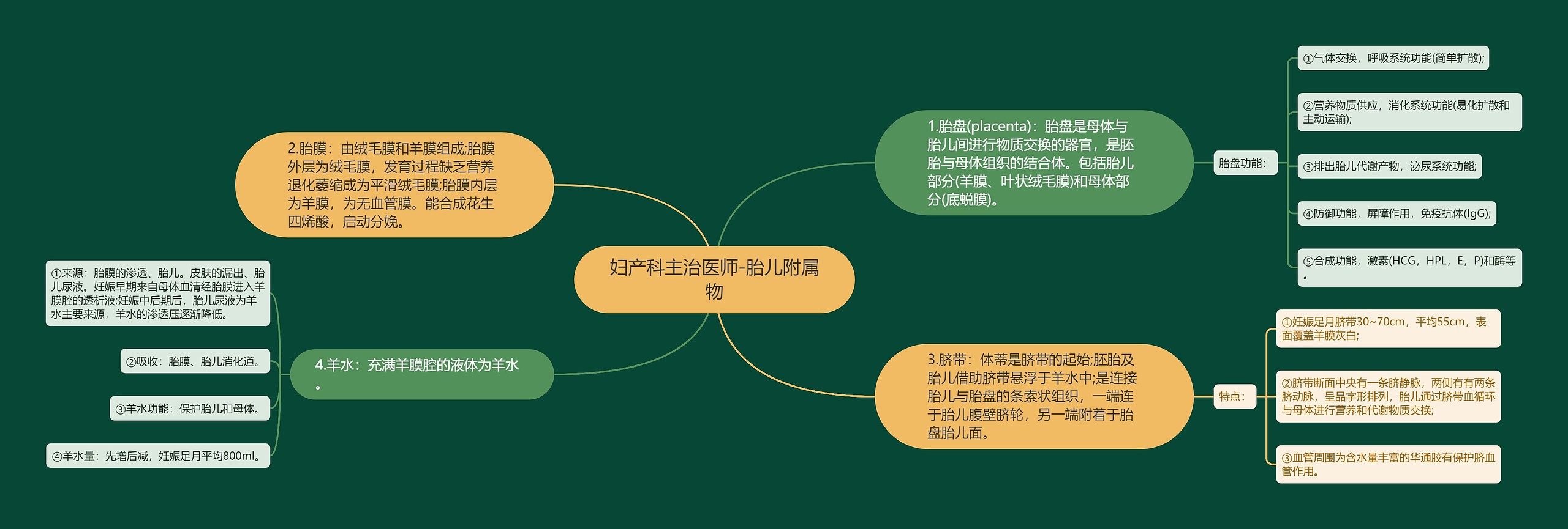 妇产科主治医师-胎儿附属物思维导图