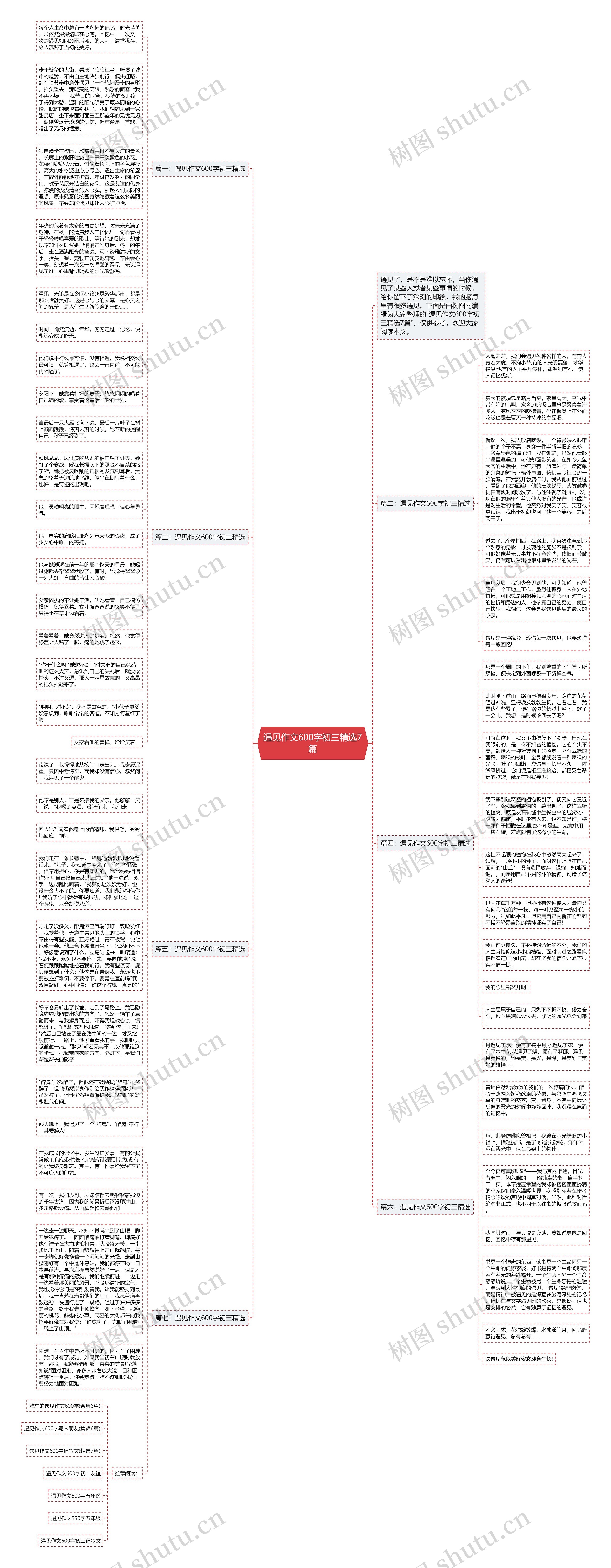 遇见作文600字初三精选7篇思维导图
