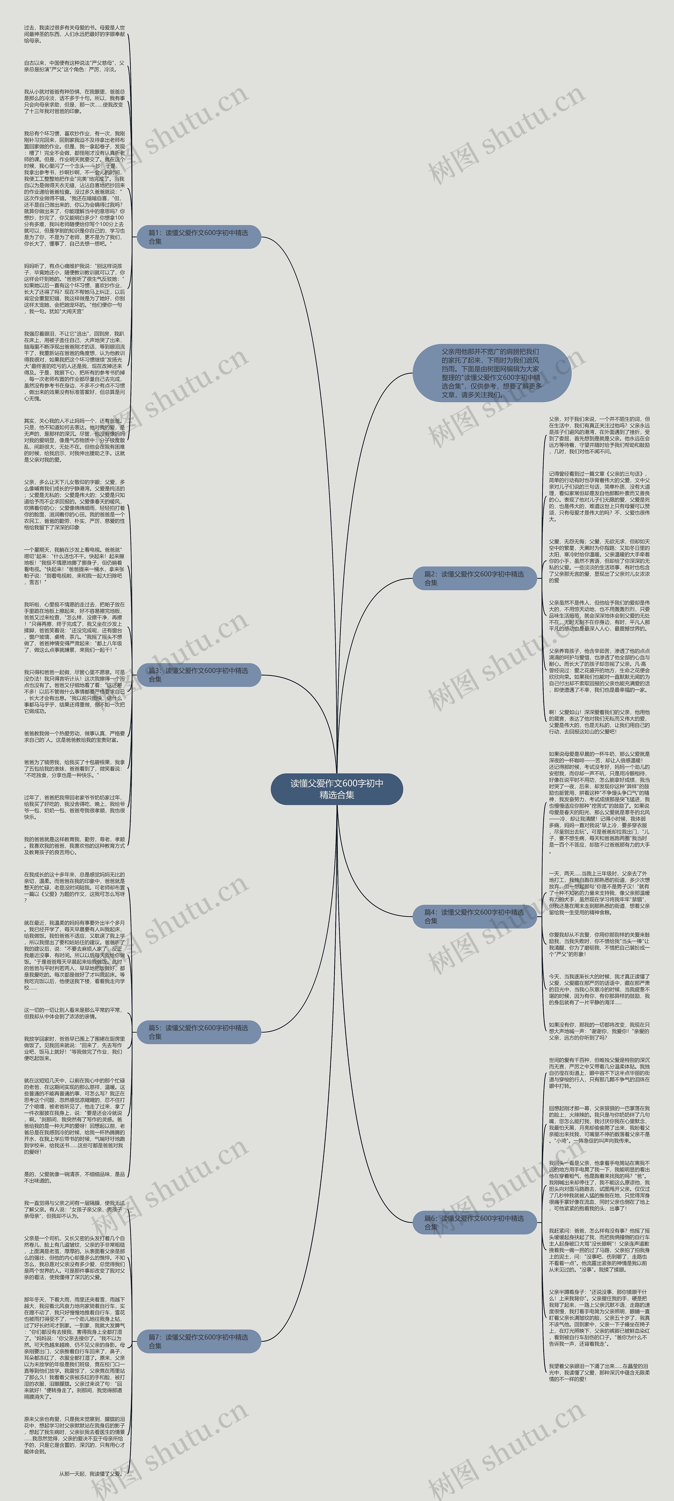 读懂父爱作文600字初中精选合集思维导图