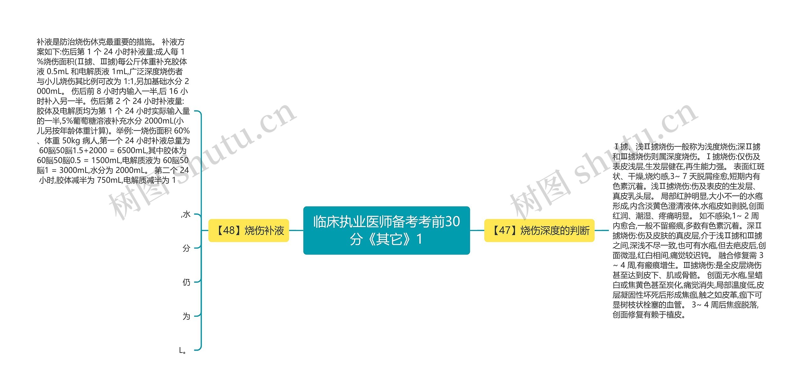 临床执业医师备考考前30分《其它》1