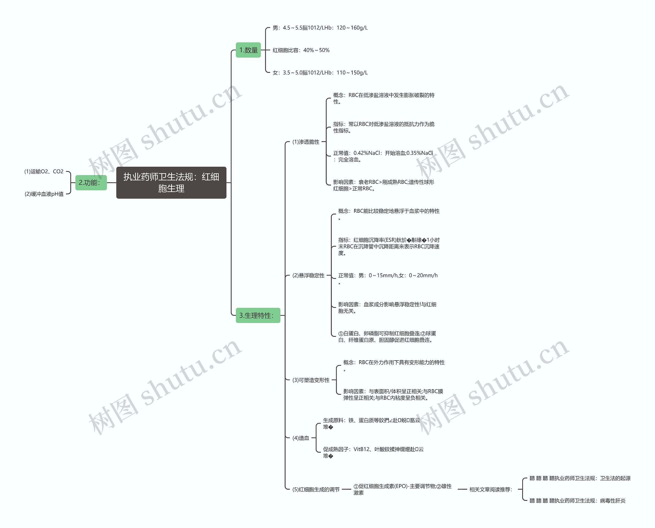 执业药师卫生法规：红细胞生理思维导图