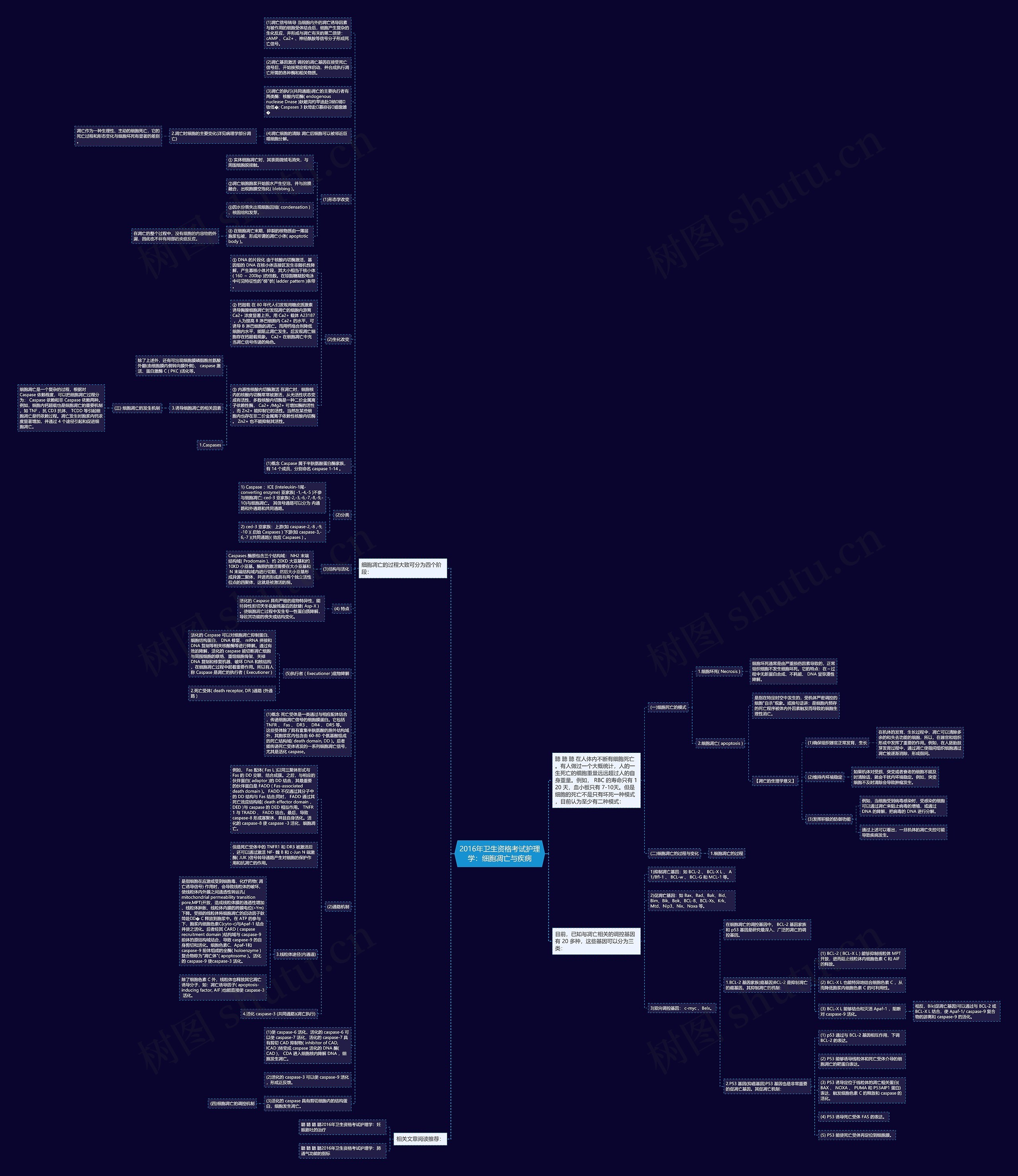 2016年卫生资格考试护理学：细胞凋亡与疾病思维导图