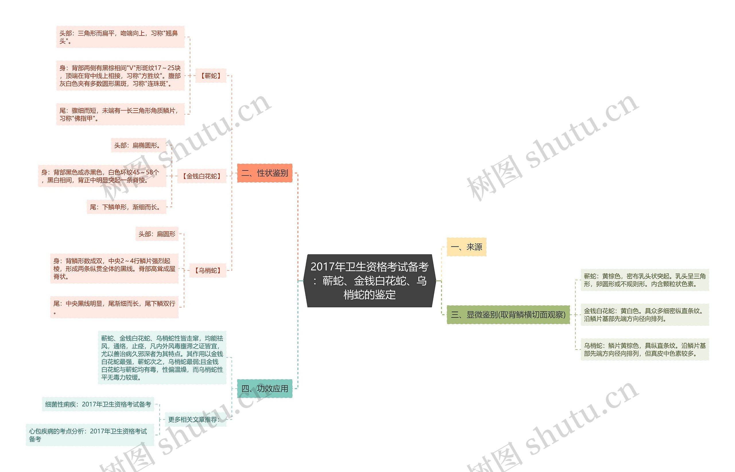 2017年卫生资格考试备考:蕲蛇、金钱白花蛇、乌梢蛇的鉴定 2017年卫生资格考试备考:蕲蛇、金钱白花蛇、乌梢蛇的鉴定